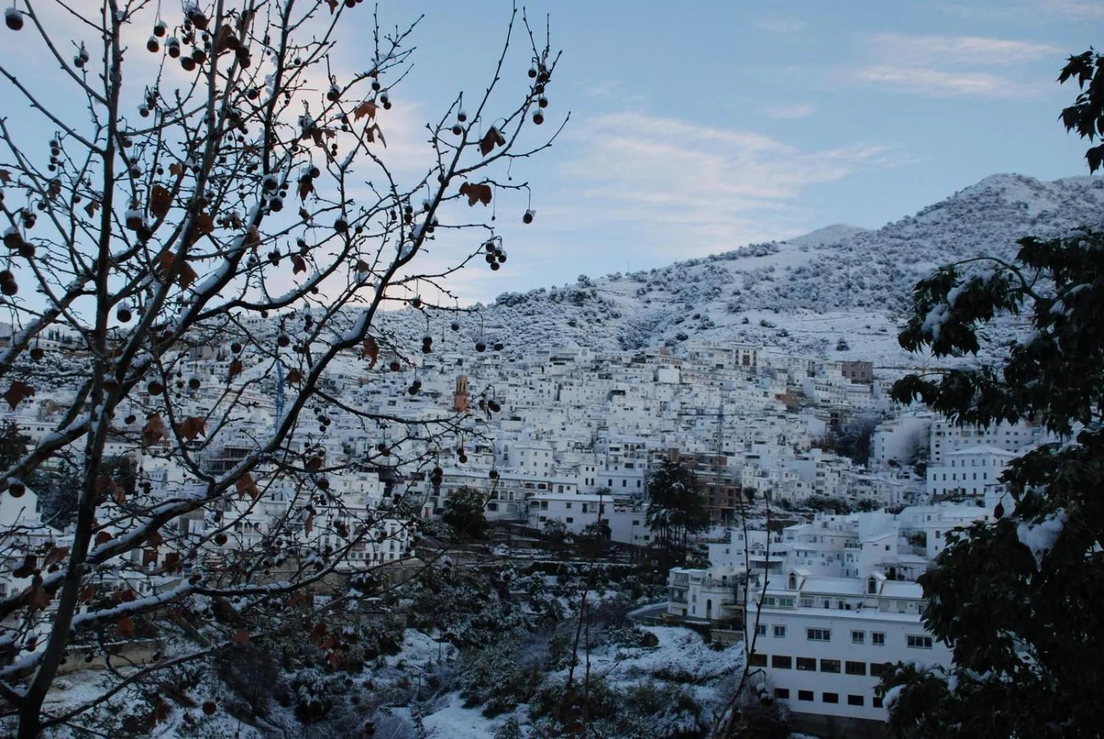 Winter in Salamandra Plaza