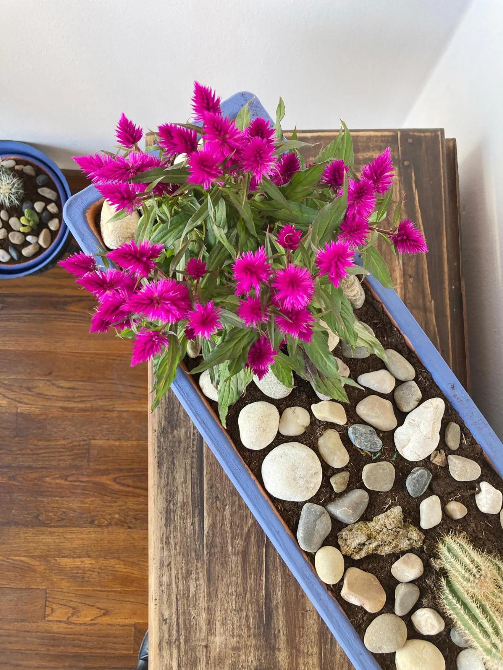 Decorative detail in Posada La Casona de Los Güelitos