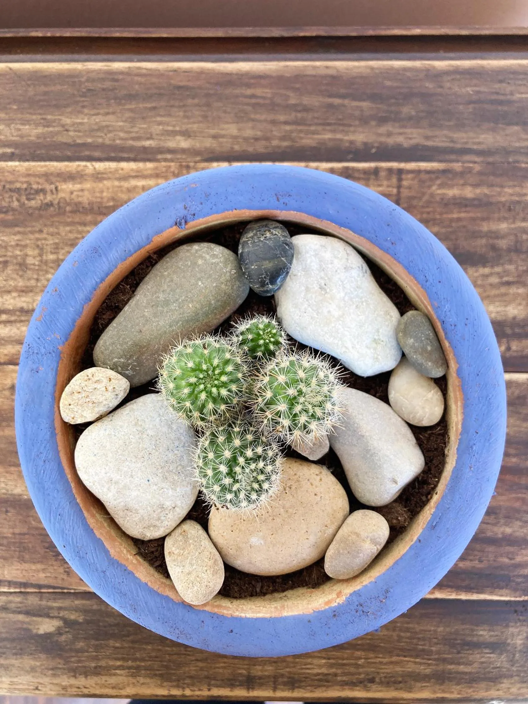 Decorative detail in Posada La Casona de Los Güelitos