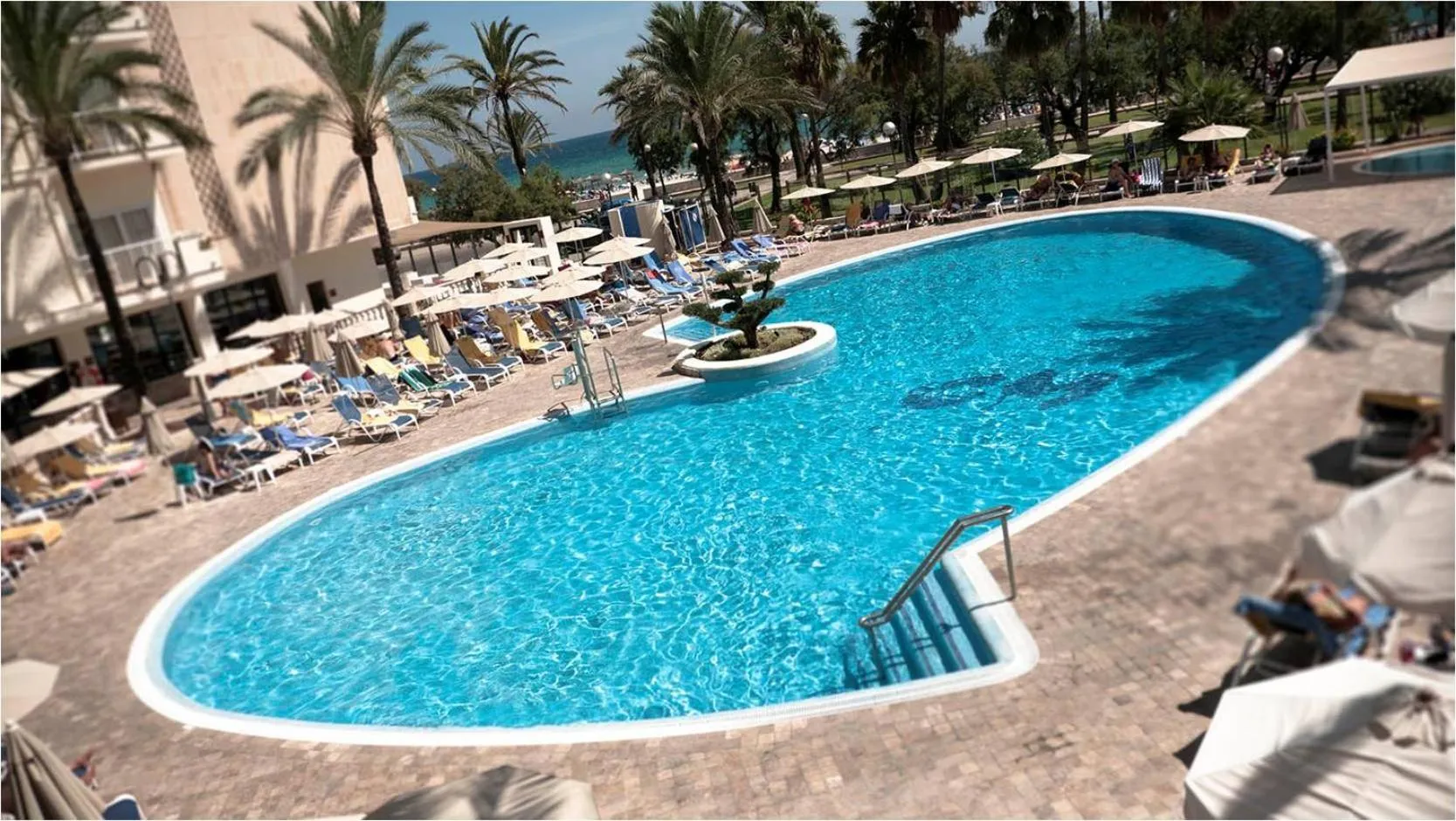 Swimming pool in CM Castell de Mar