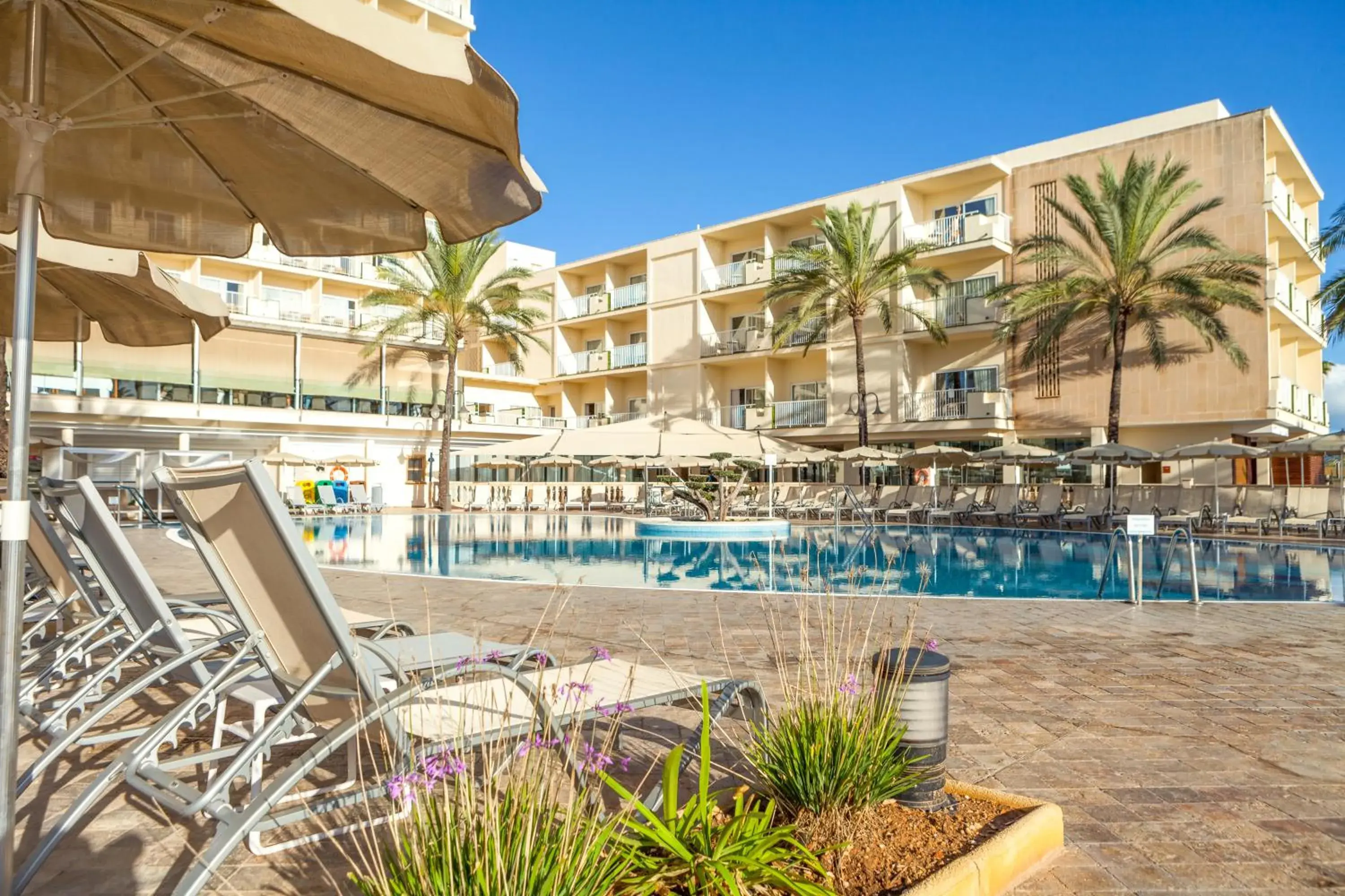 Swimming pool in CM Castell de Mar Swimming pool in CM Castell de Mar