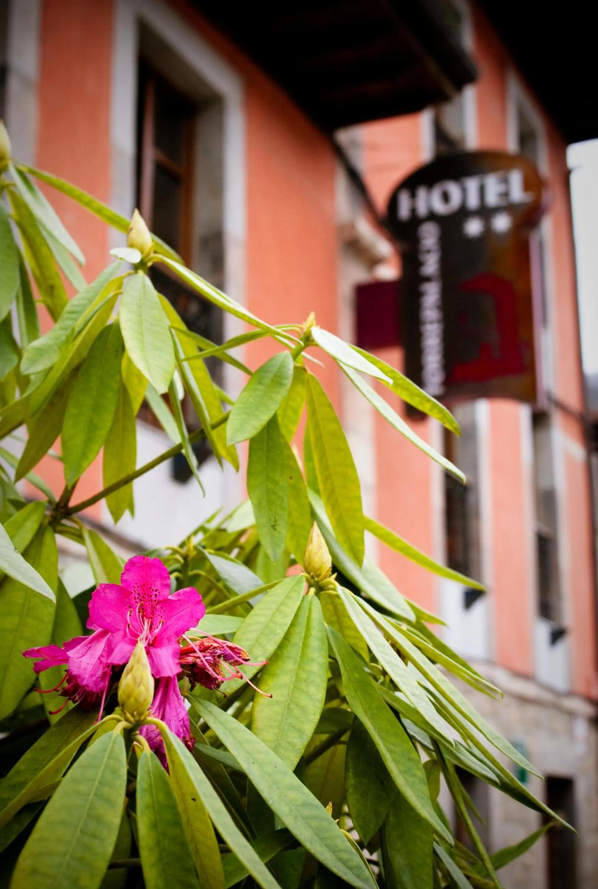 Hotel Torrepalacio