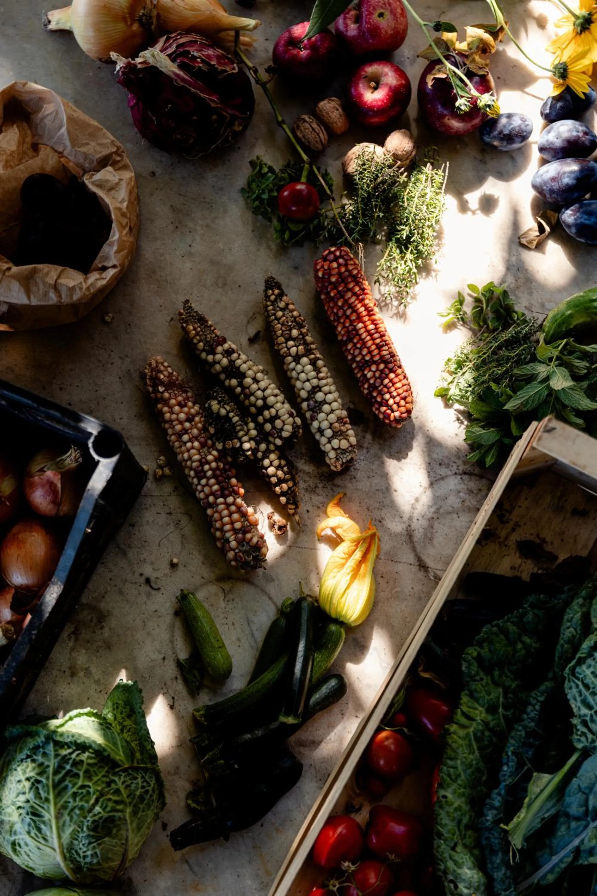 Food and drinks in Agriturismo San Martino