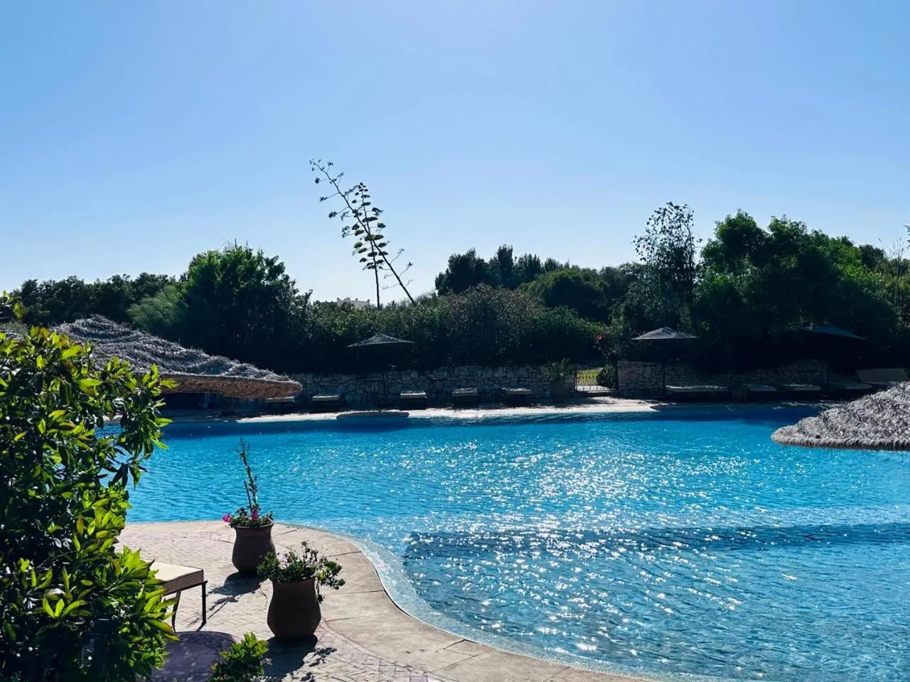 Domaine de l'Arganeraie