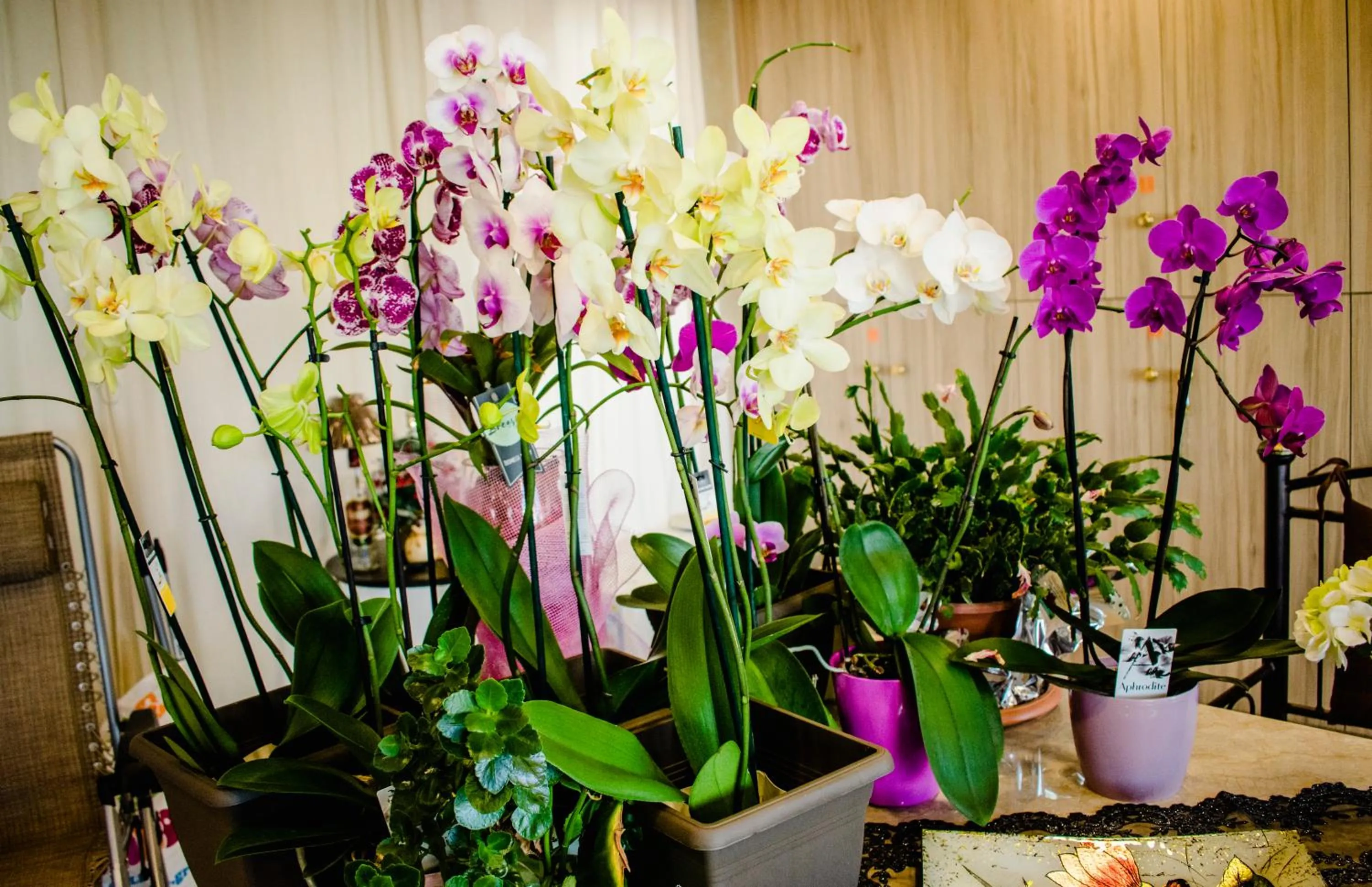 Nikolakakis Rooms Lavrio