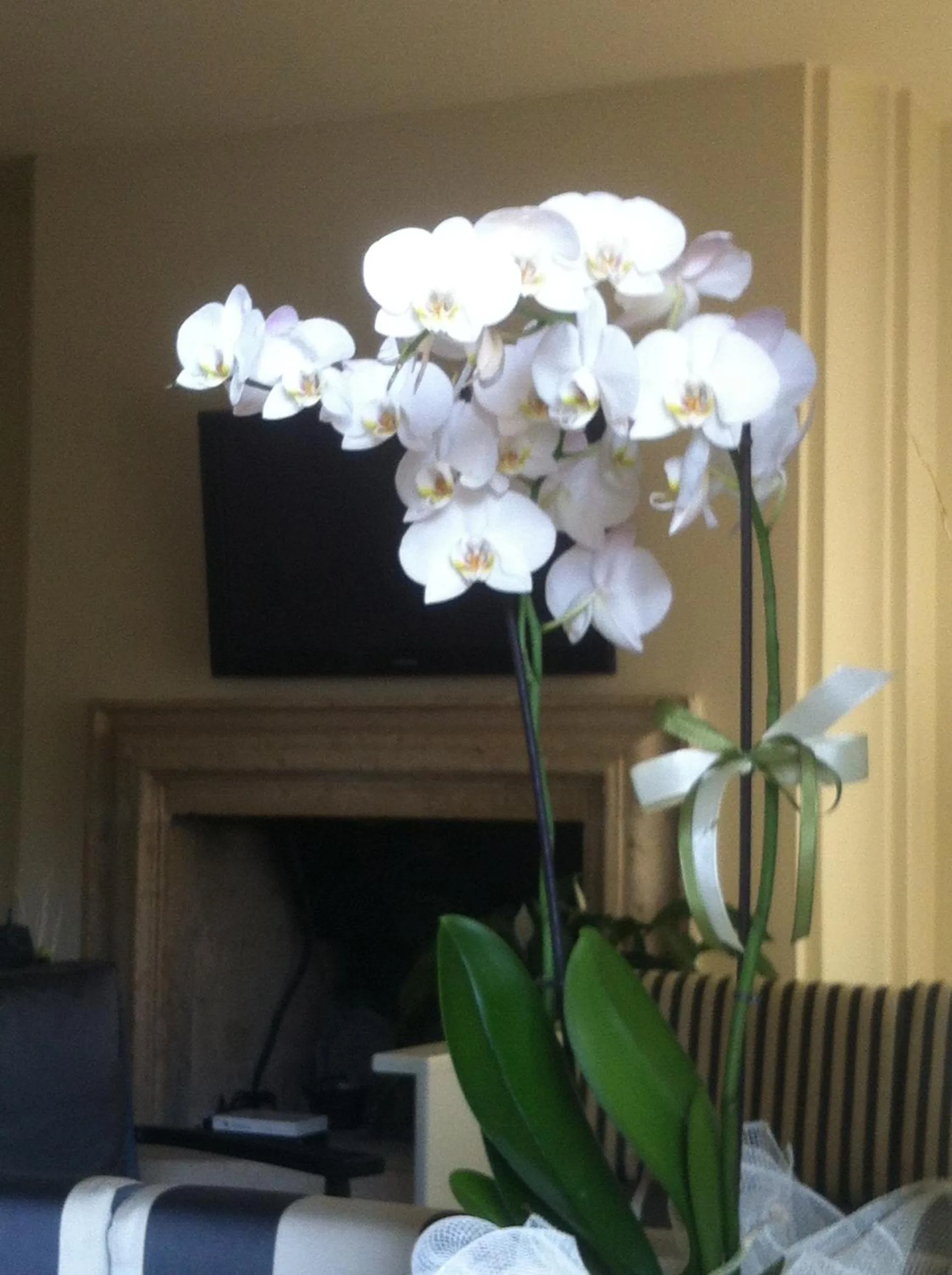 Decorative detail in Hotel Romeo