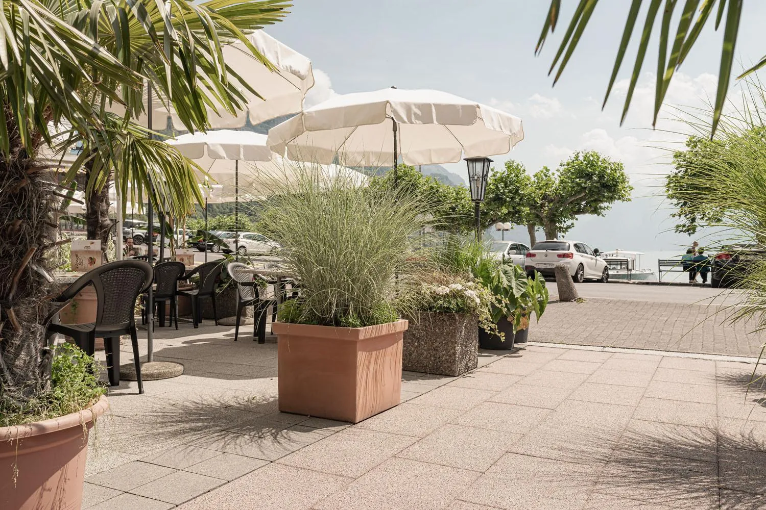 Restaurant/places to eat in Hotel Schmid & Alfa