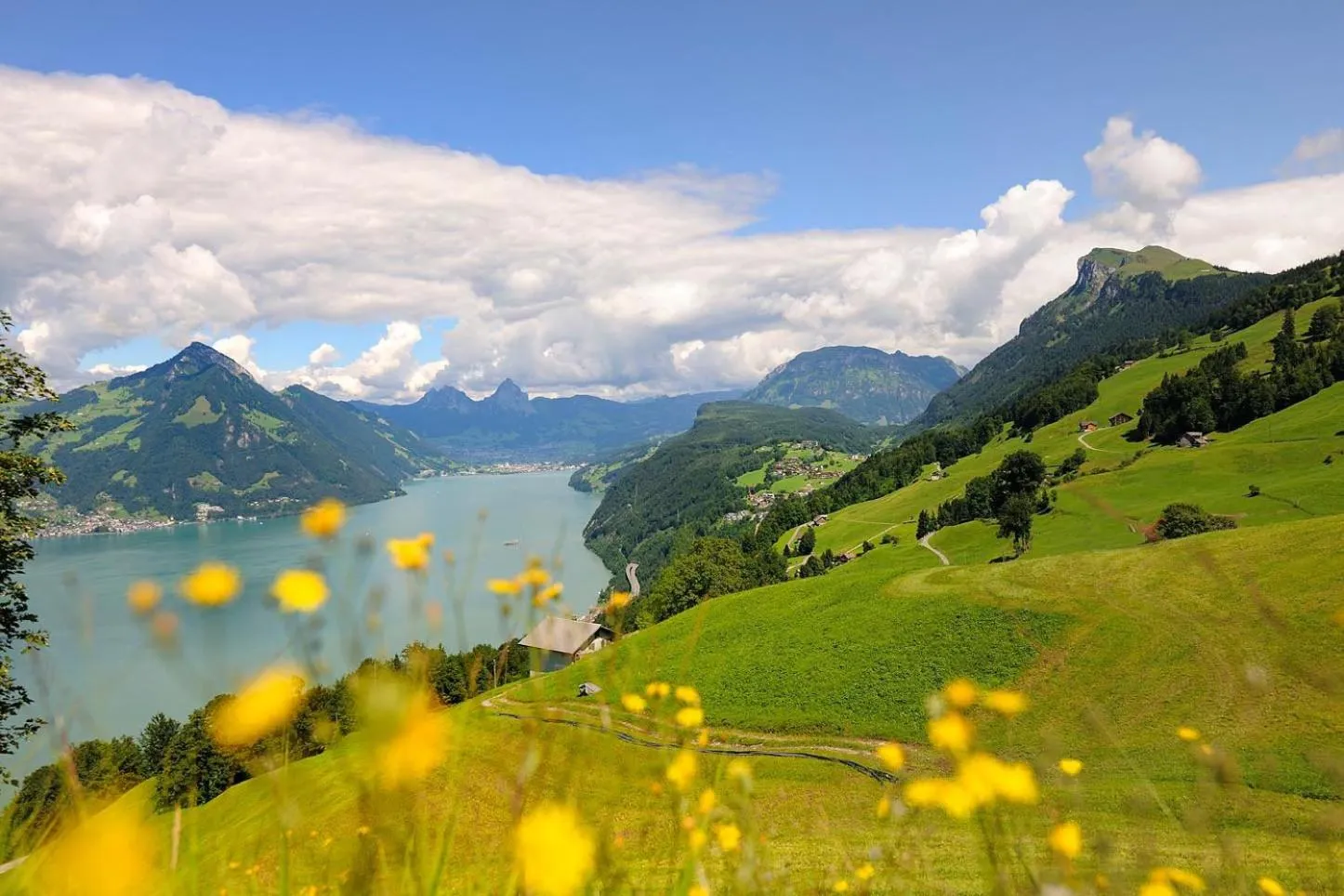 Natural landscape in Seeblick Höhenhotel