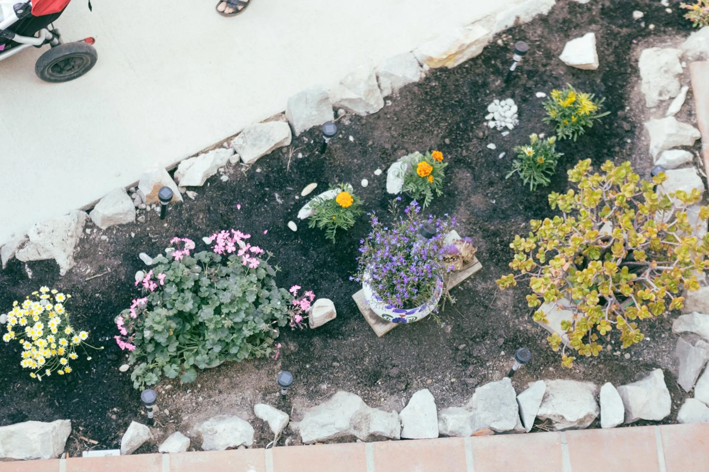 Garden in Mucha Masia Hostel Rural Urba