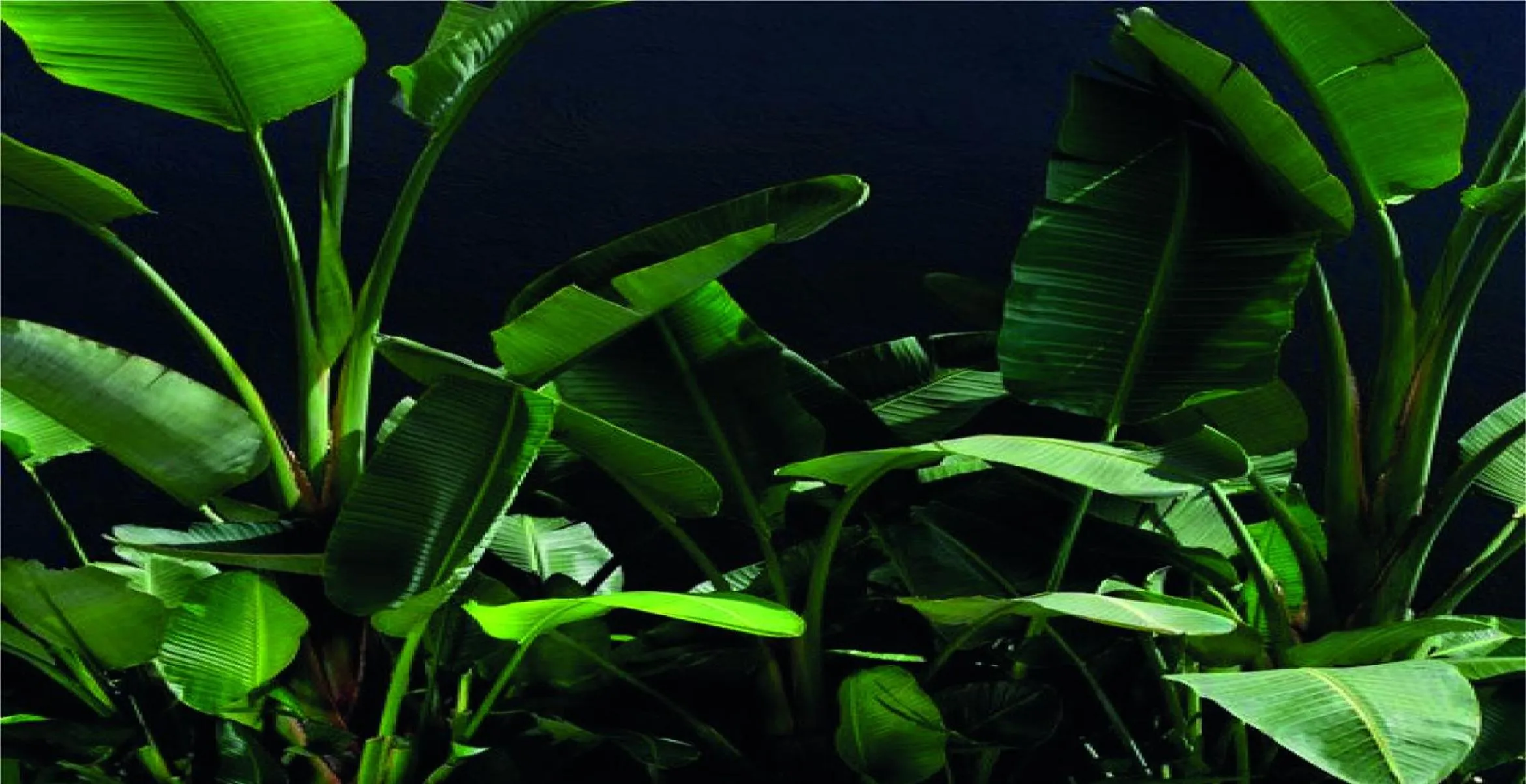 Lisbon Garden Boutique Guest House