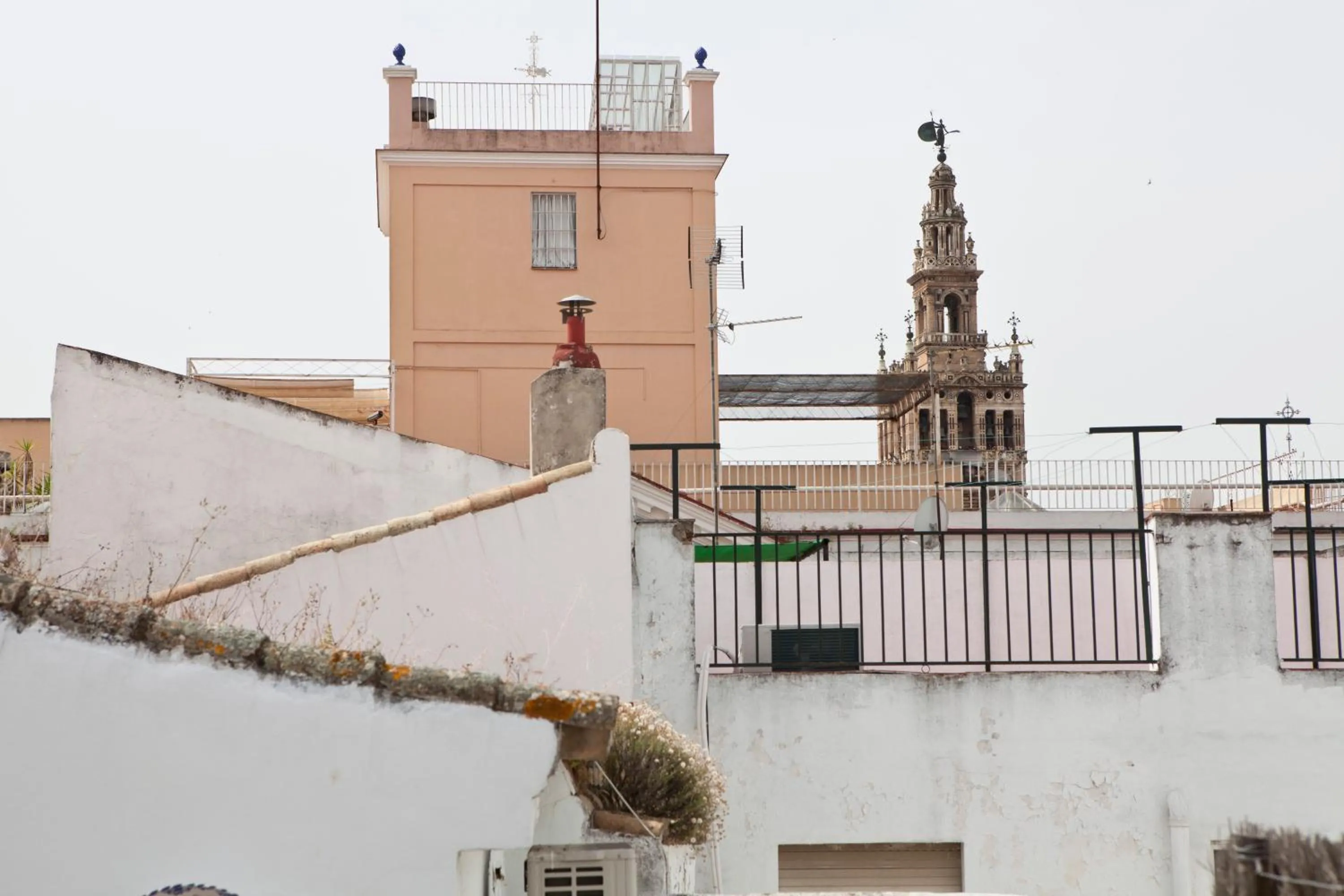 Landmark view in Casa Palacio, La Giralda