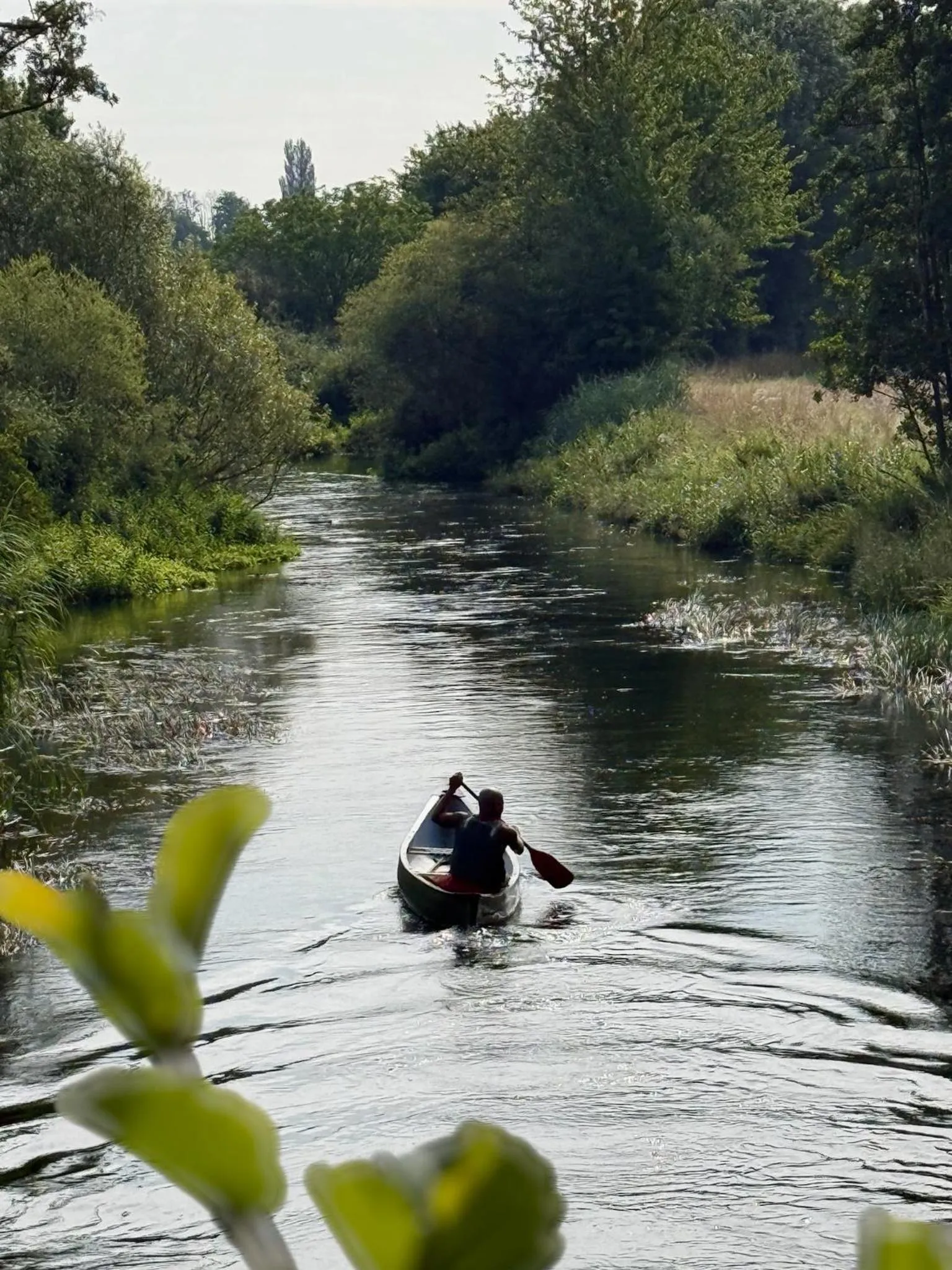 Canoeing in Hôtel-SPA Le Moulin De La Wantzenau - Strasbourg Nord