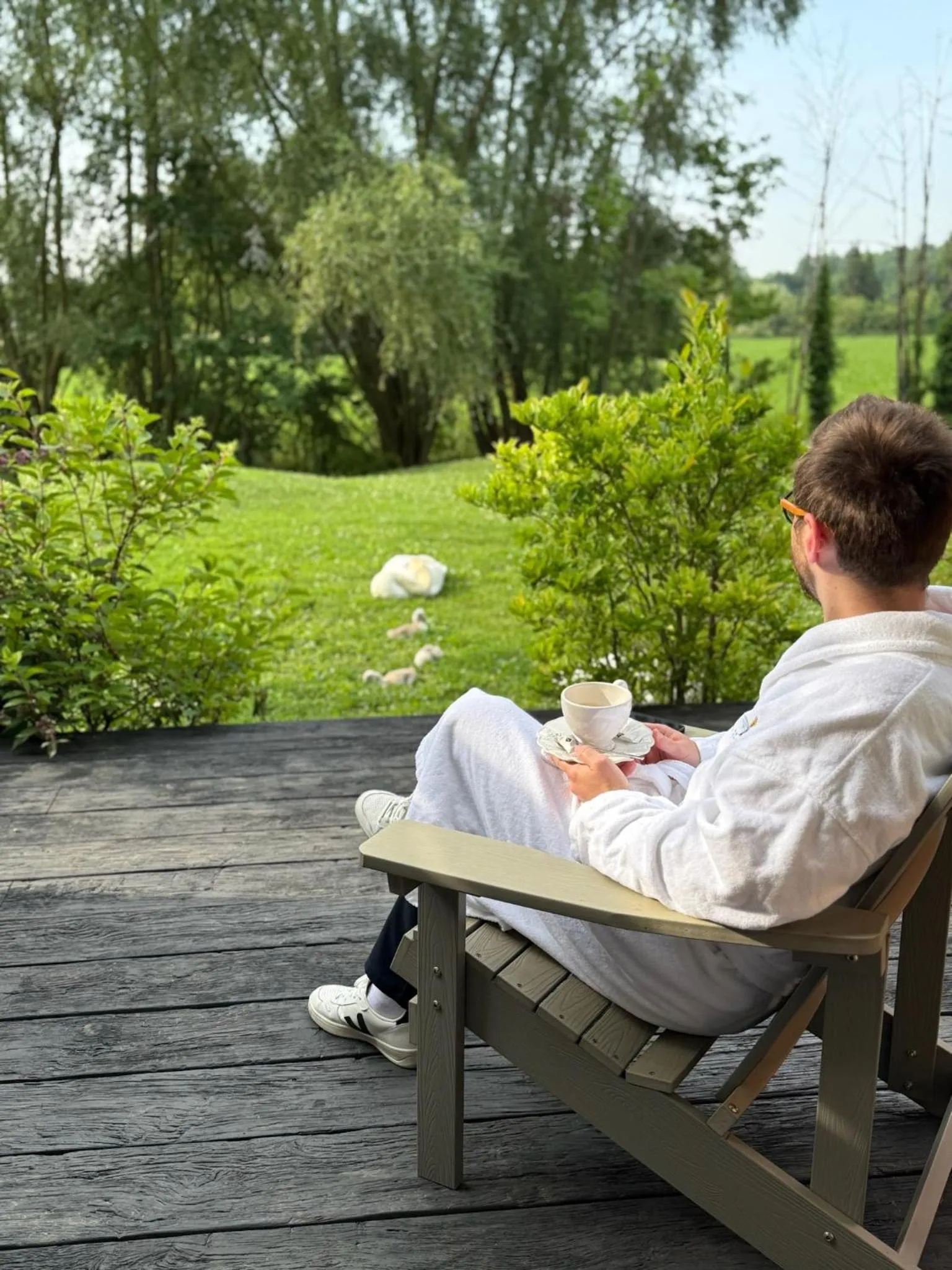 Patio in Hôtel-SPA Le Moulin De La Wantzenau - Strasbourg Nord