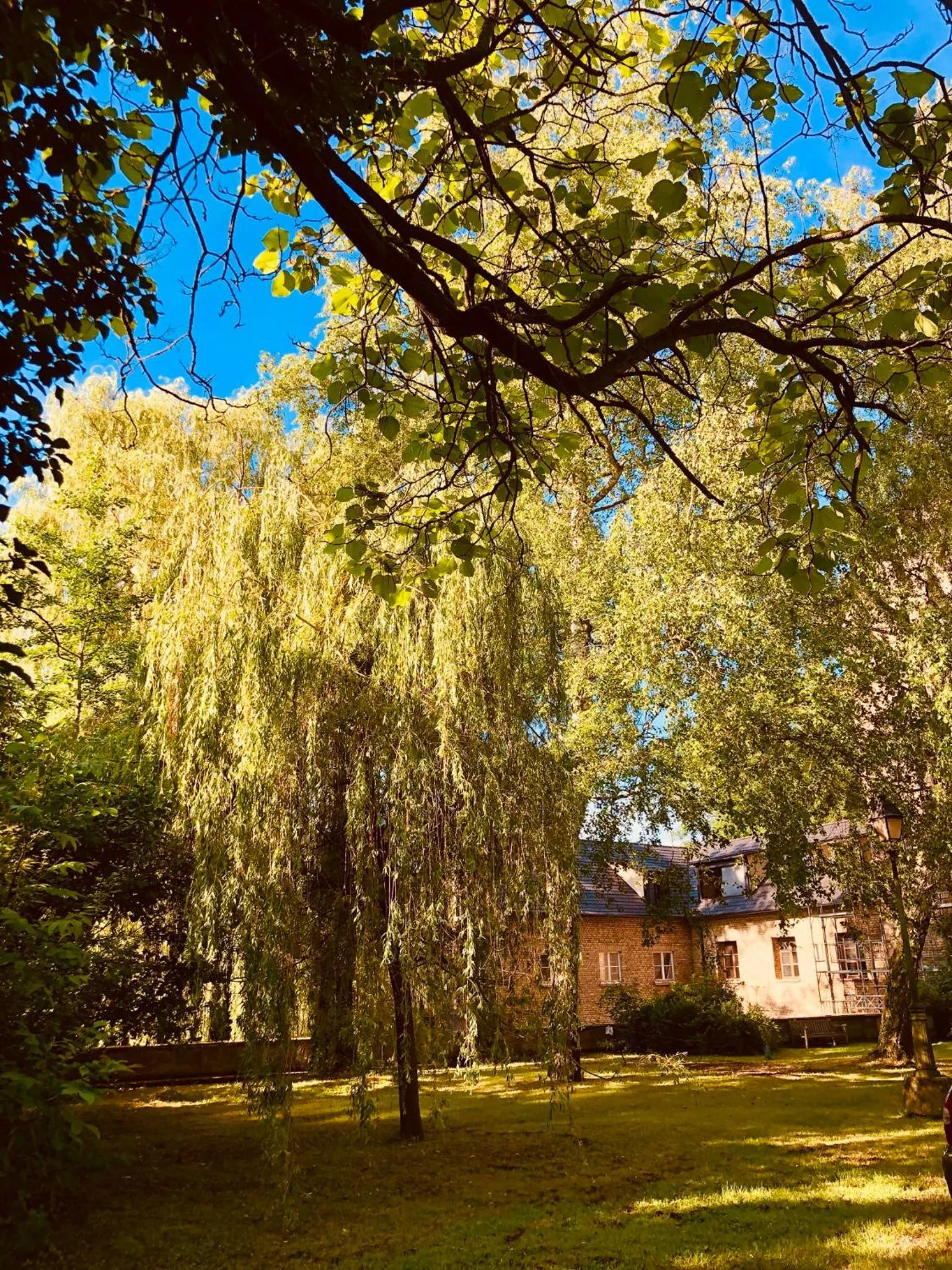 Garden in Hôtel-SPA Le Moulin De La Wantzenau - Strasbourg Nord
