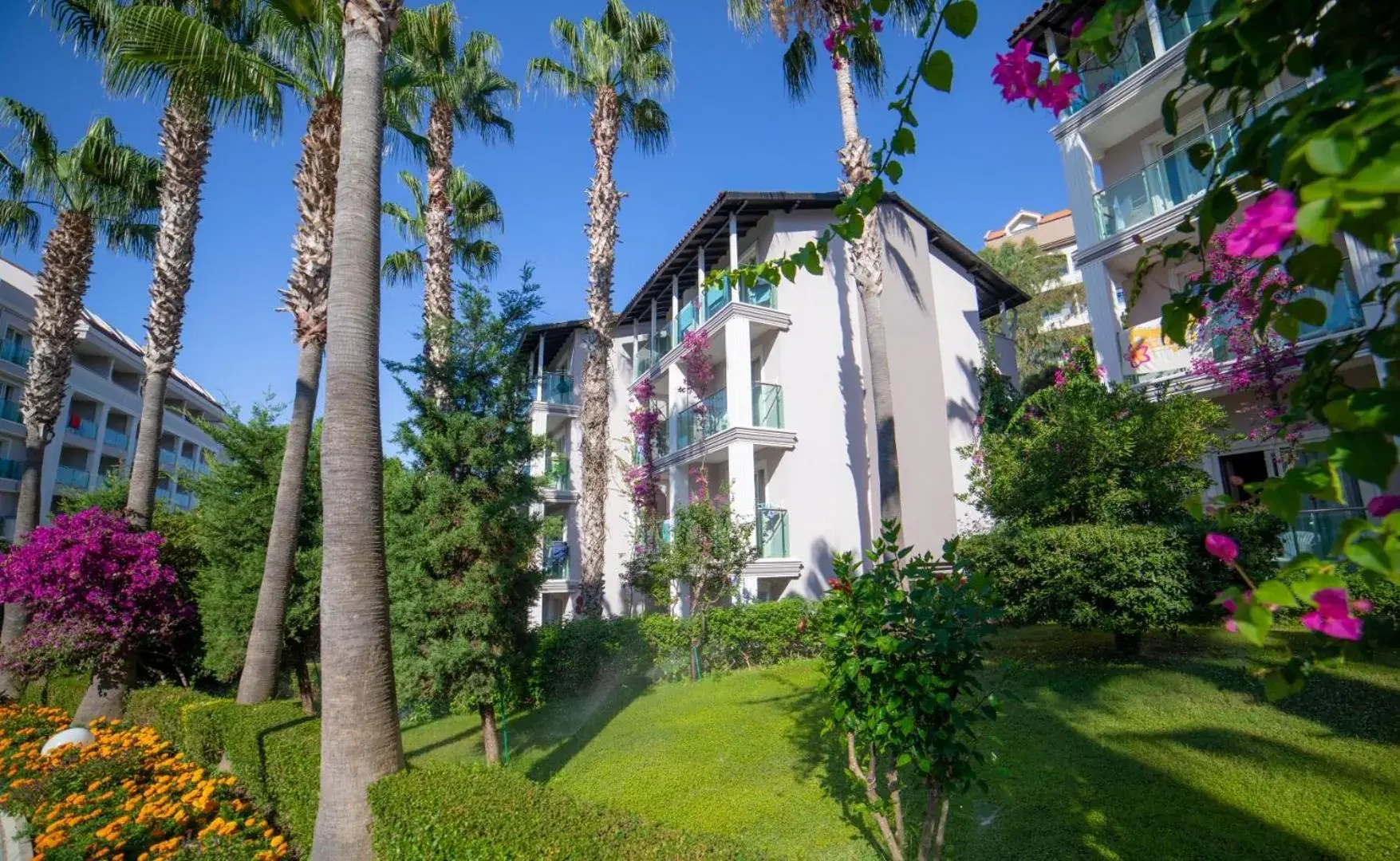 Garden view in Sealife Buket Resort & Beach Hotel - Ultra All Inclusive Garden view in Sealife Buket Resort & Beach Hotel - Ultra All Inclusive