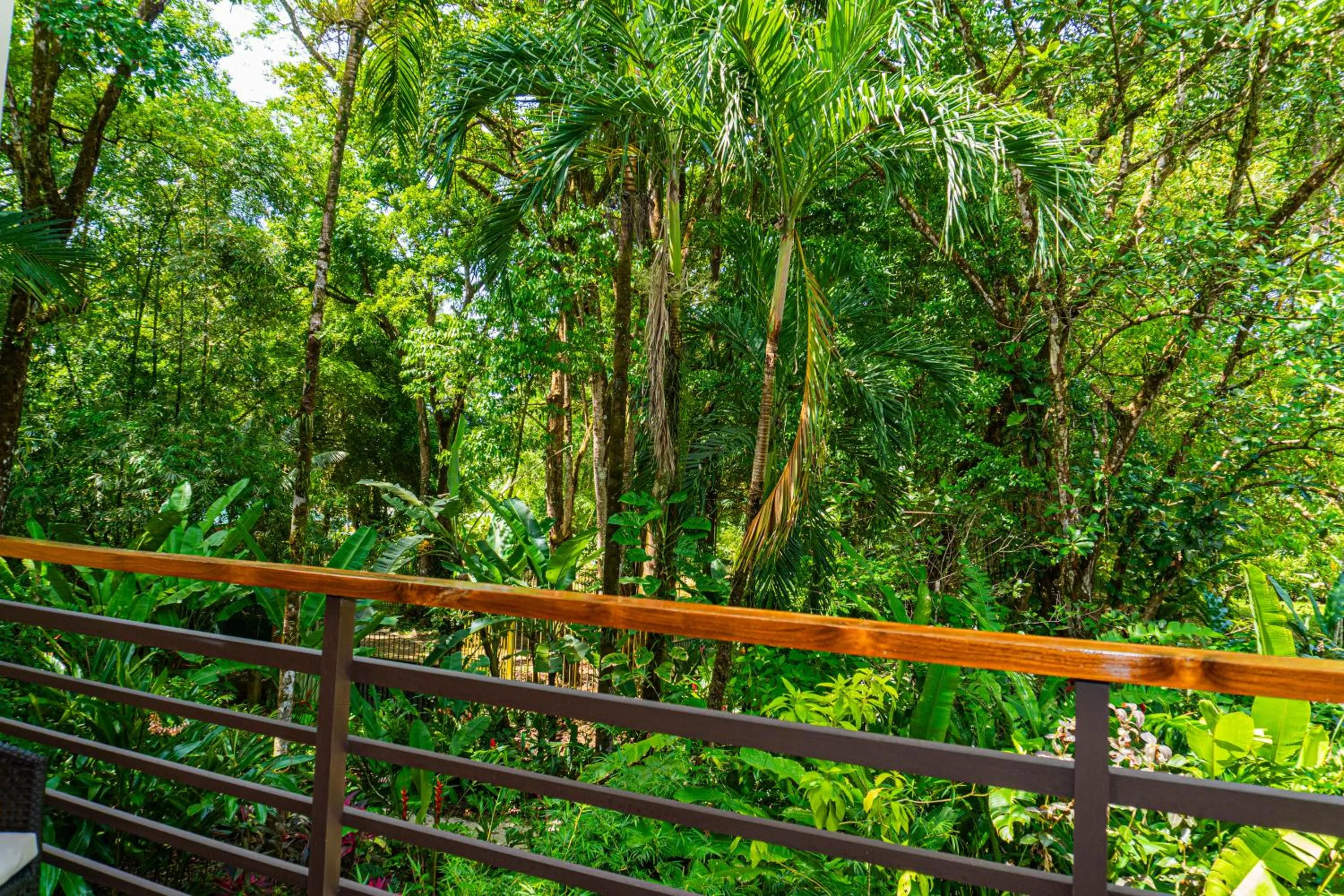 Natural landscape in Elan at Ballena Beach