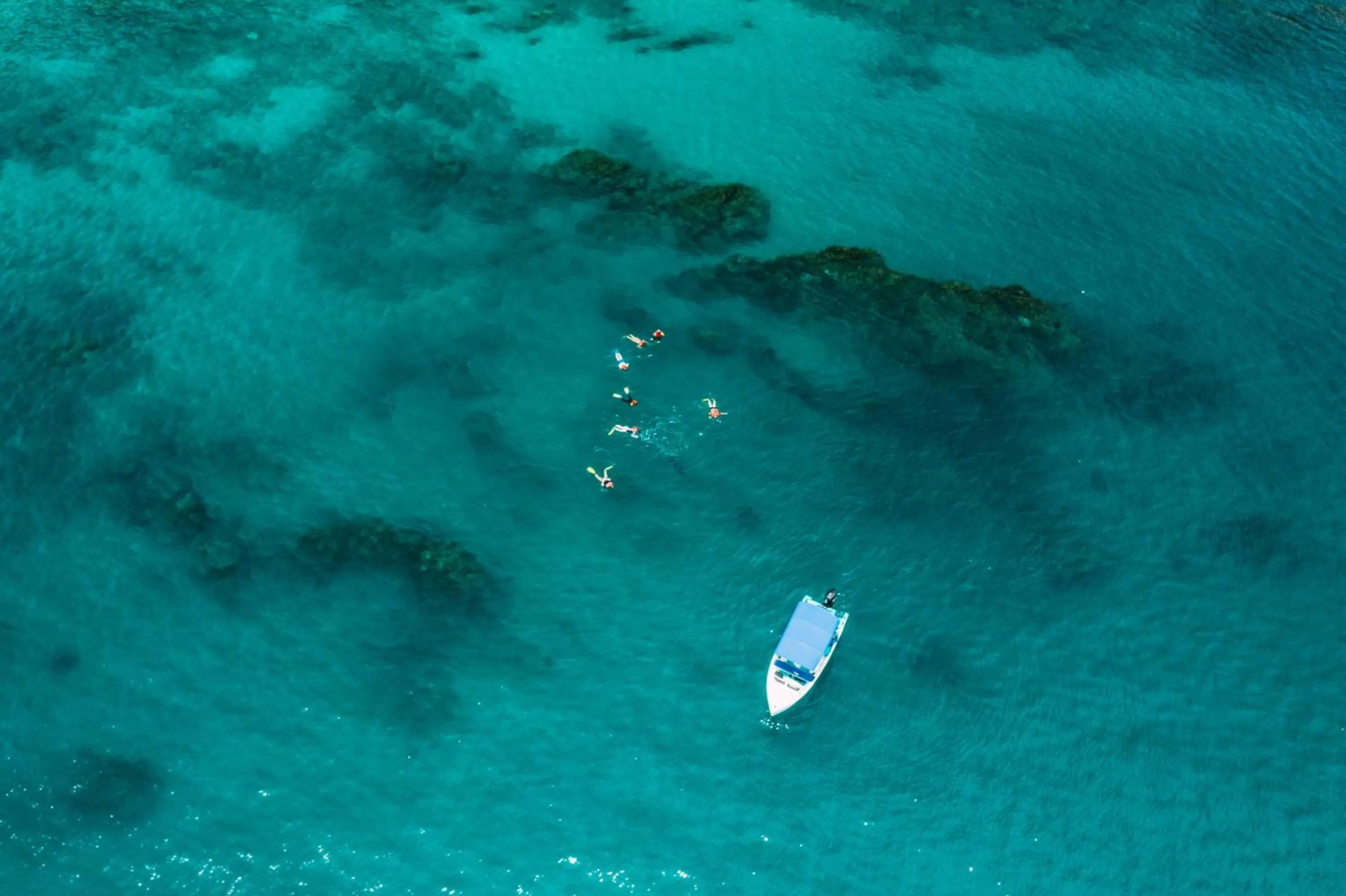 Snorkeling in Elan at Ballena Beach