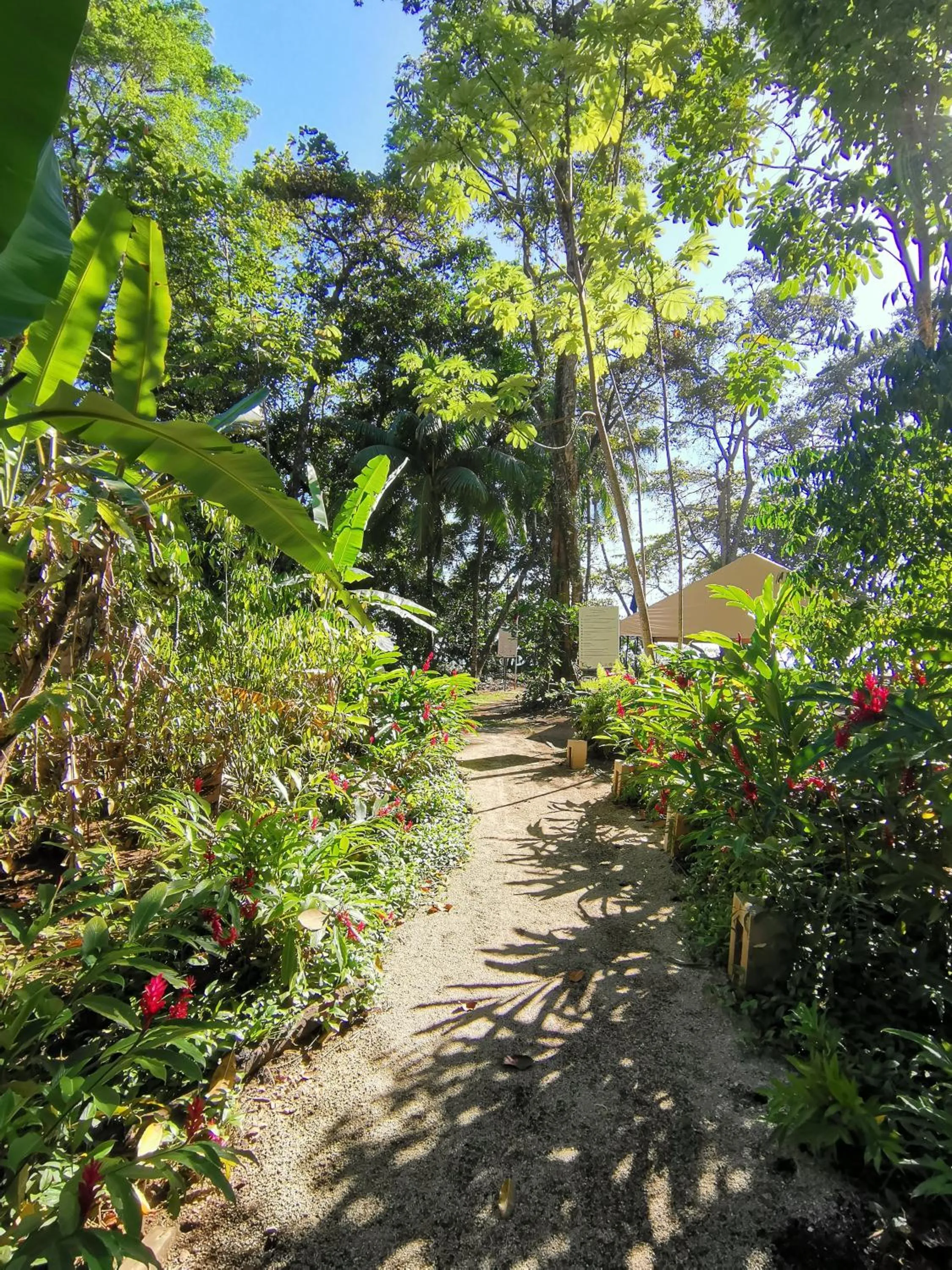 Garden in Elan at Ballena Beach