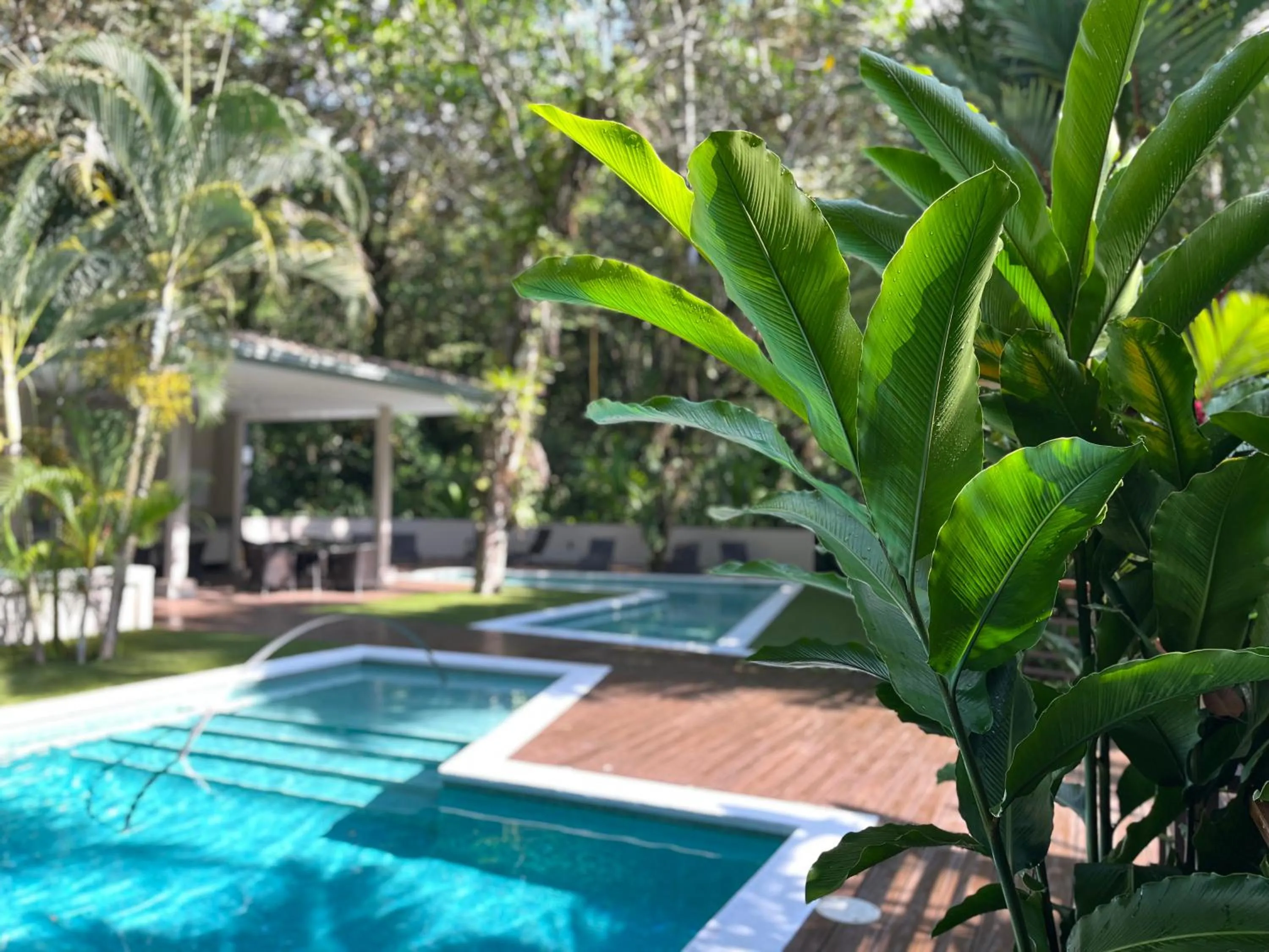 Pool view in Elan at Ballena Beach