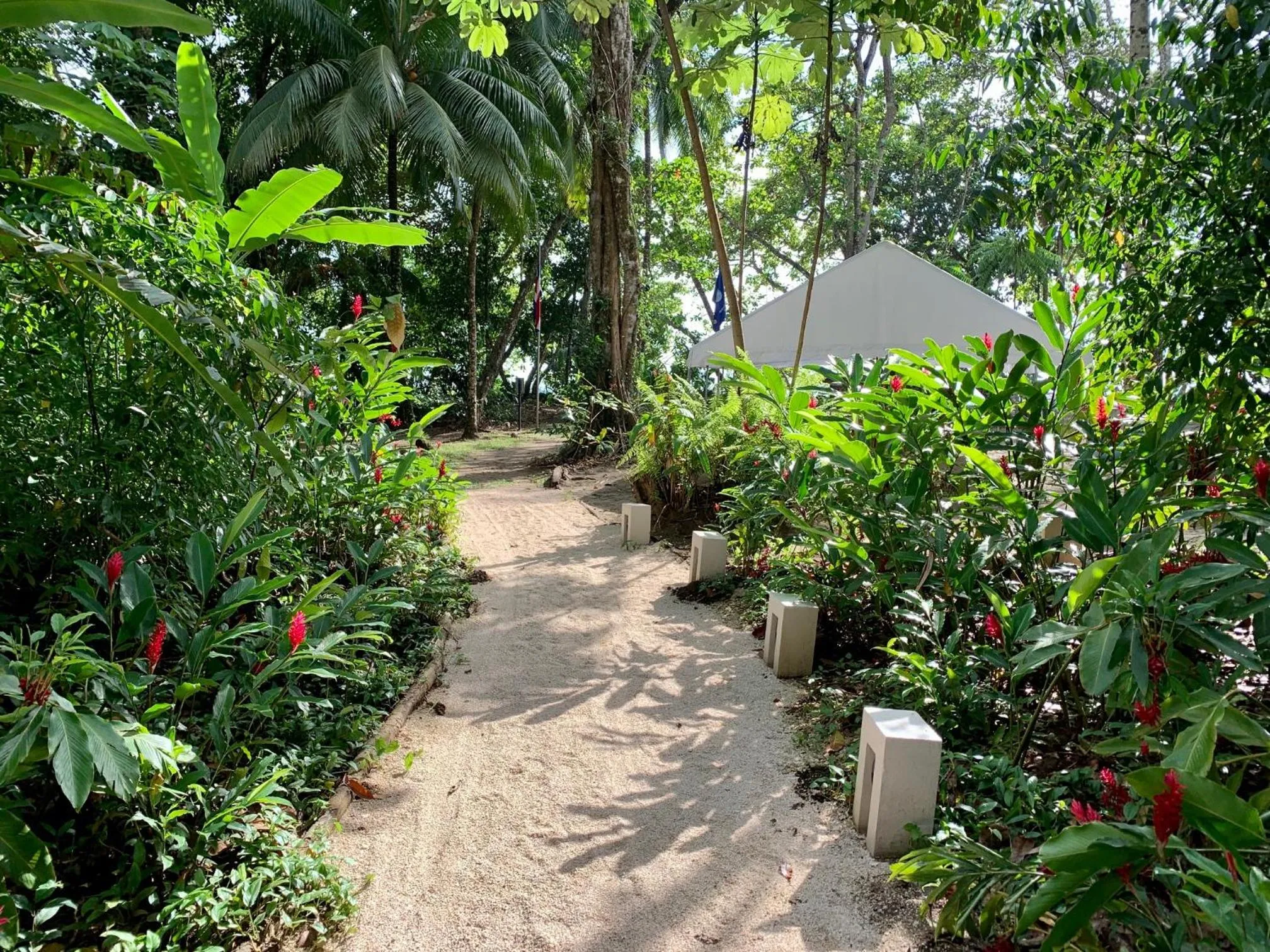 Natural landscape in Elan at Ballena Beach