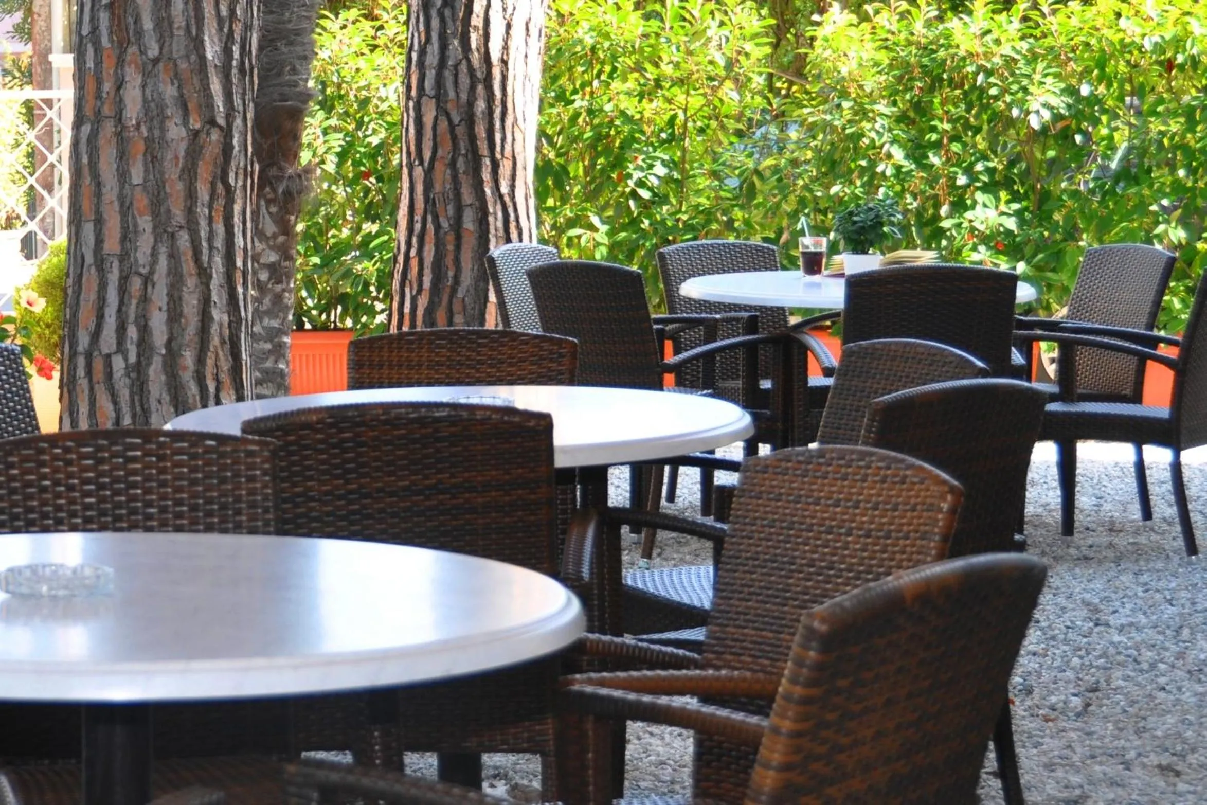 Day in Hotel Azzurra