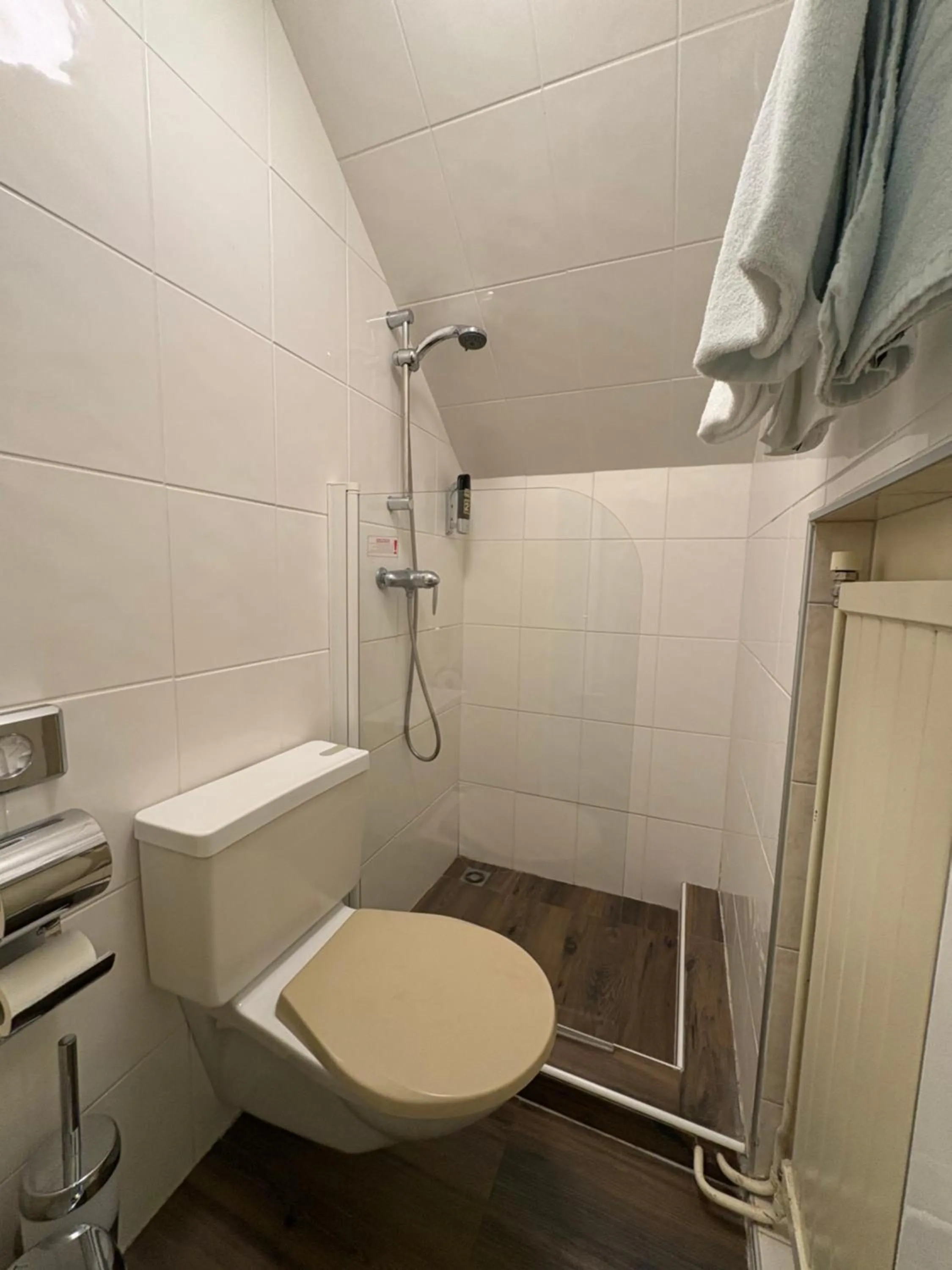 Toilet in Esos Hotel Quelle