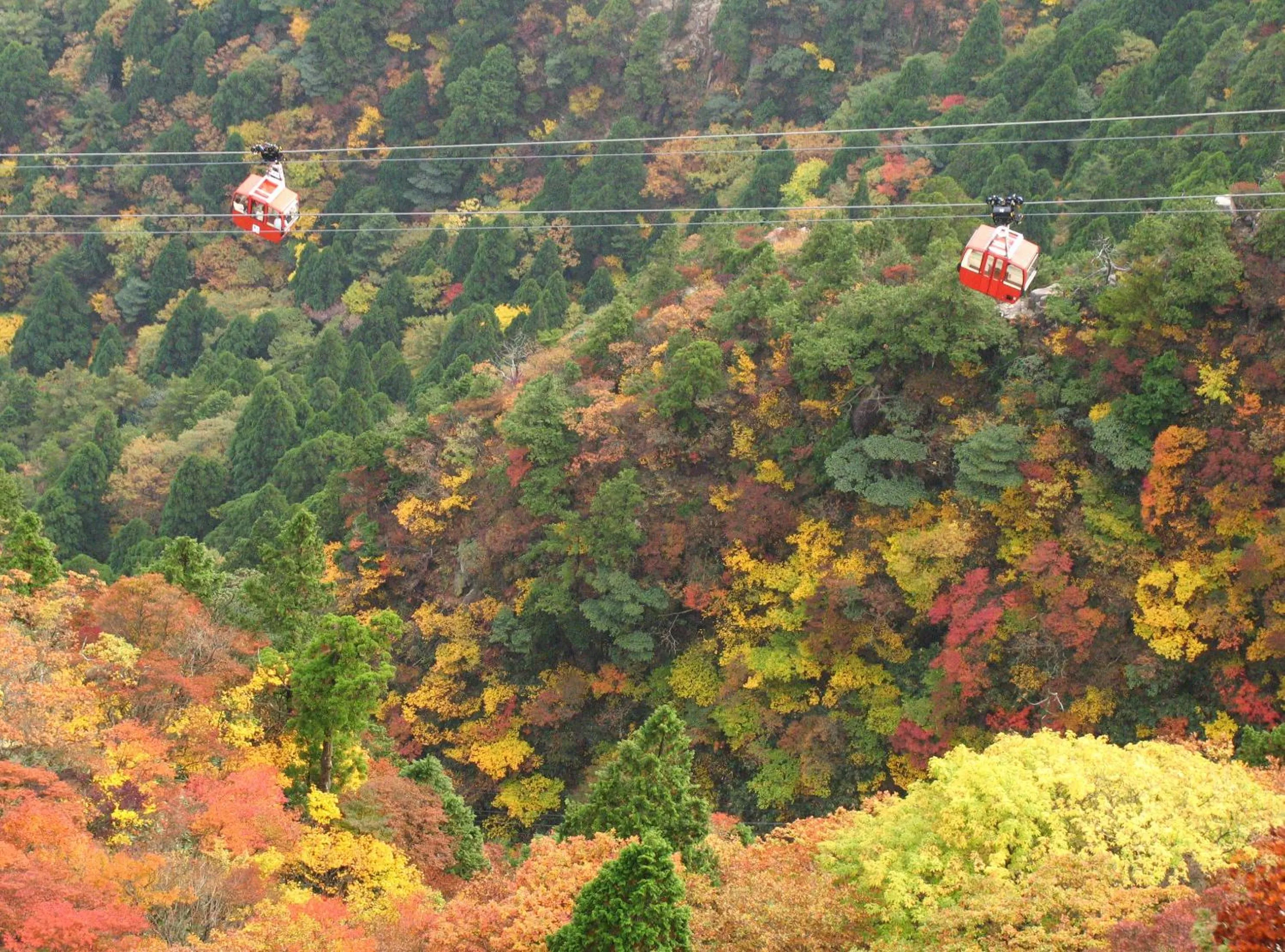 Nearby landmark in Sanco Inn Yokkaichi Ekimae