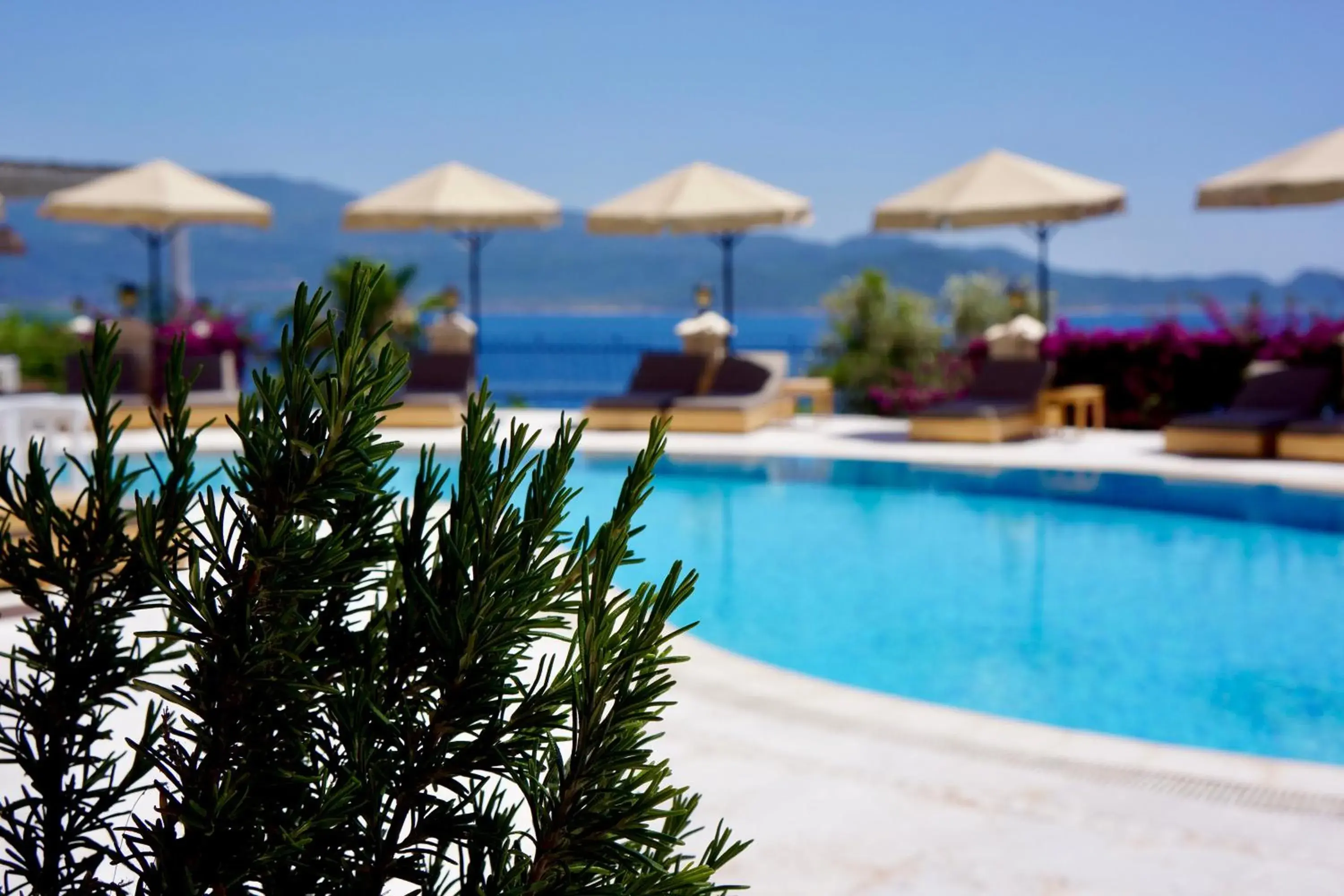 View (from property/room) in Villa Hotel Tamara View (from property/room) in Villa Hotel Tamara