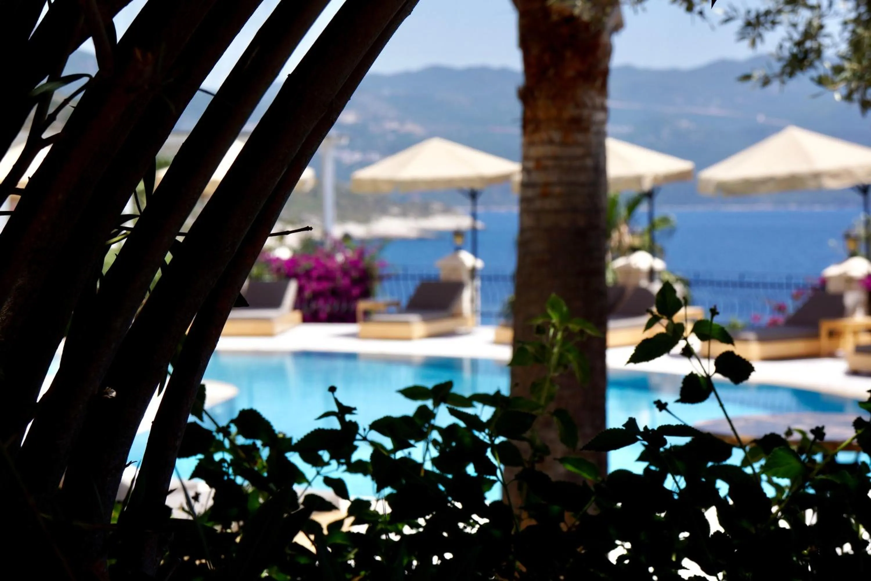 Pool view in Villa Hotel Tamara