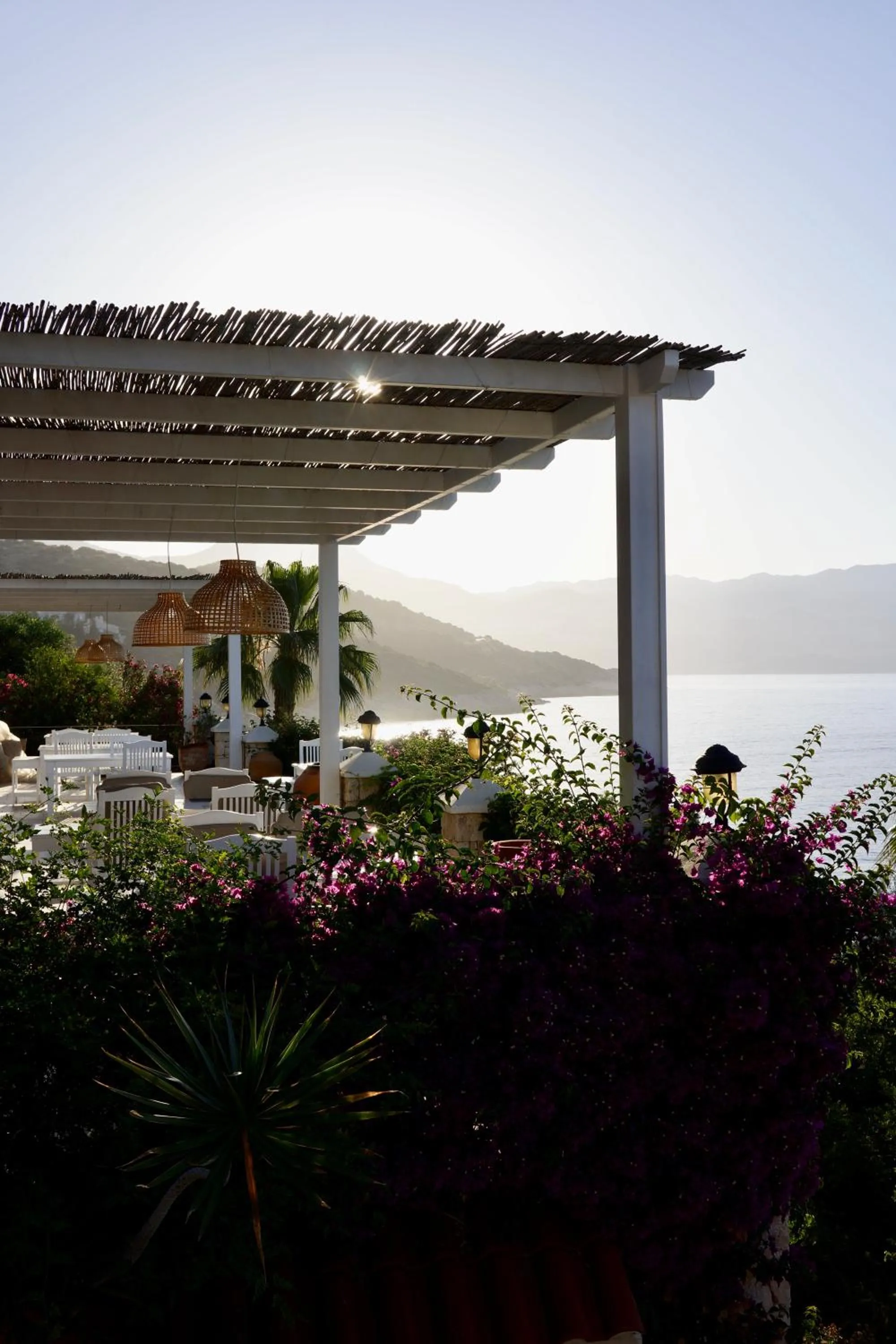 Restaurant/places to eat in Villa Hotel Tamara