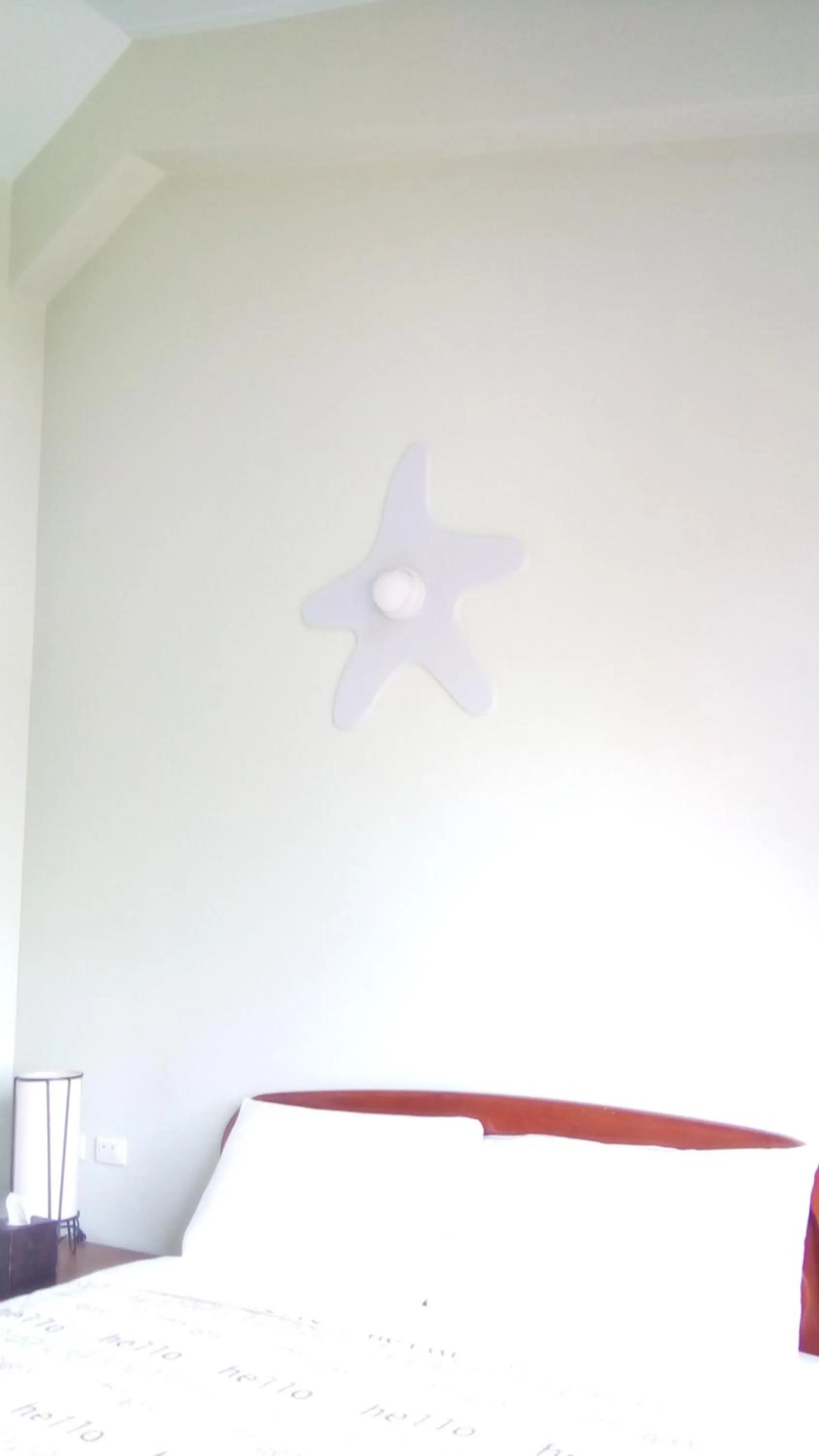 Standard Double Room in Lake Villa Homestay
