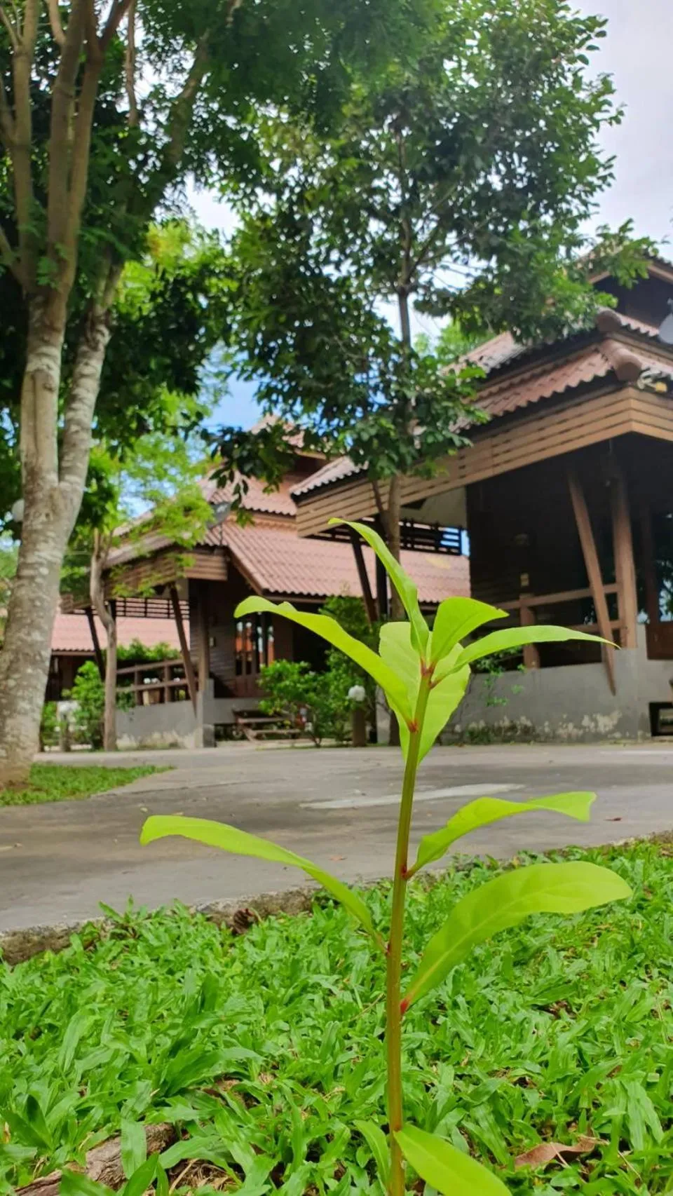 Property building in Pruksa Resort Prachuabkhirikhan