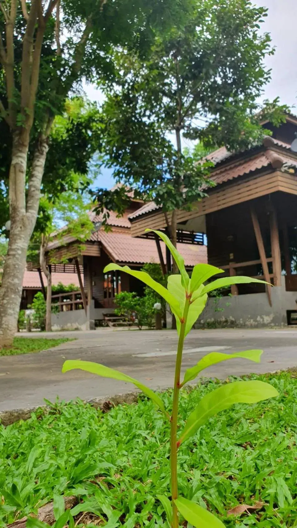 Property building in Pruksa Resort Prachuabkhirikhan Property building in Pruksa Resort Prachuabkhirikhan