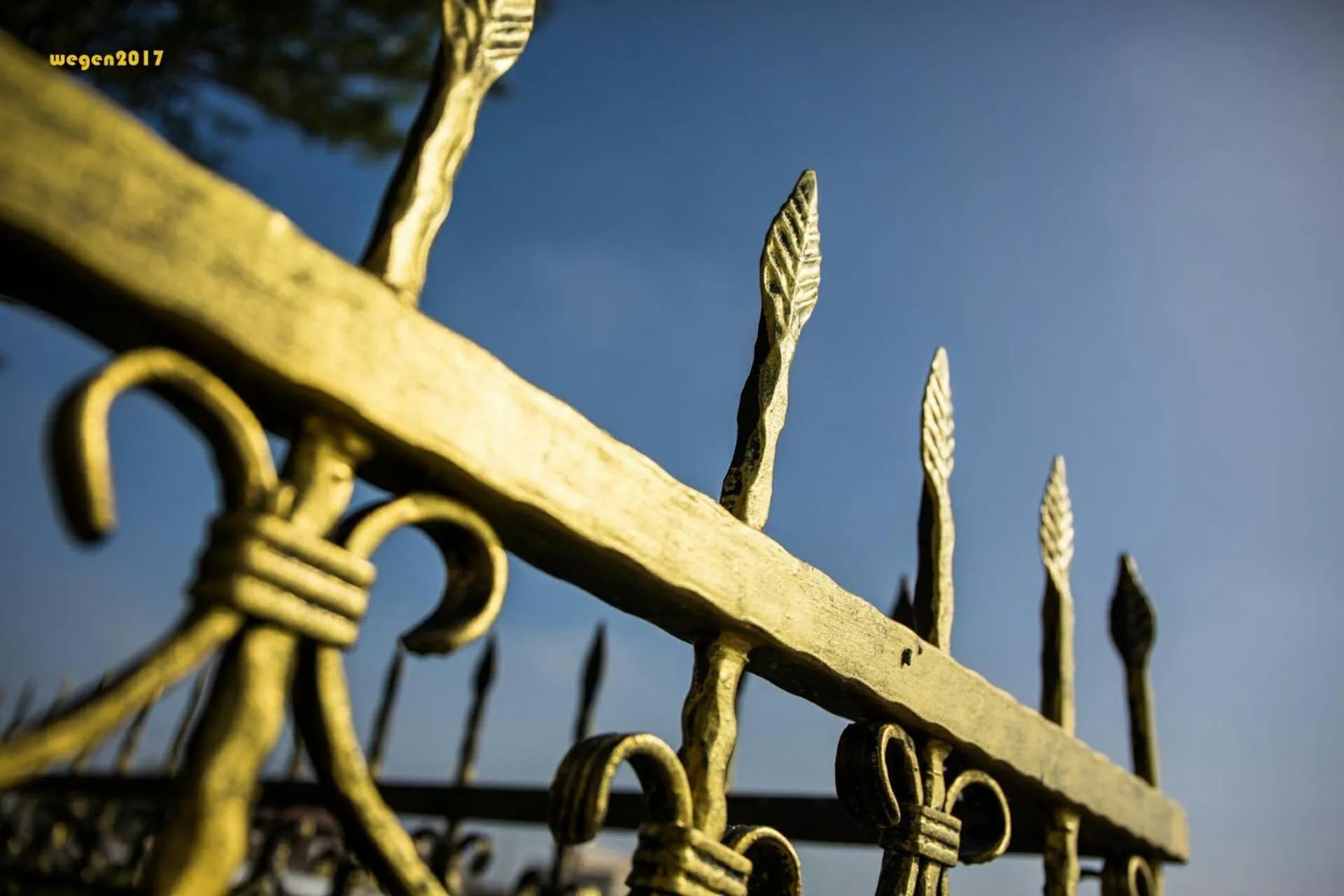 Property building in manor