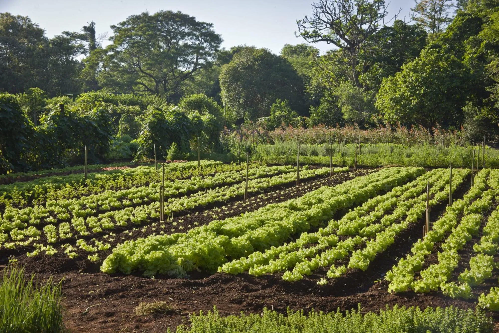Property building in Bourbon Thermas Eco Resort Cataratas do Iguacu