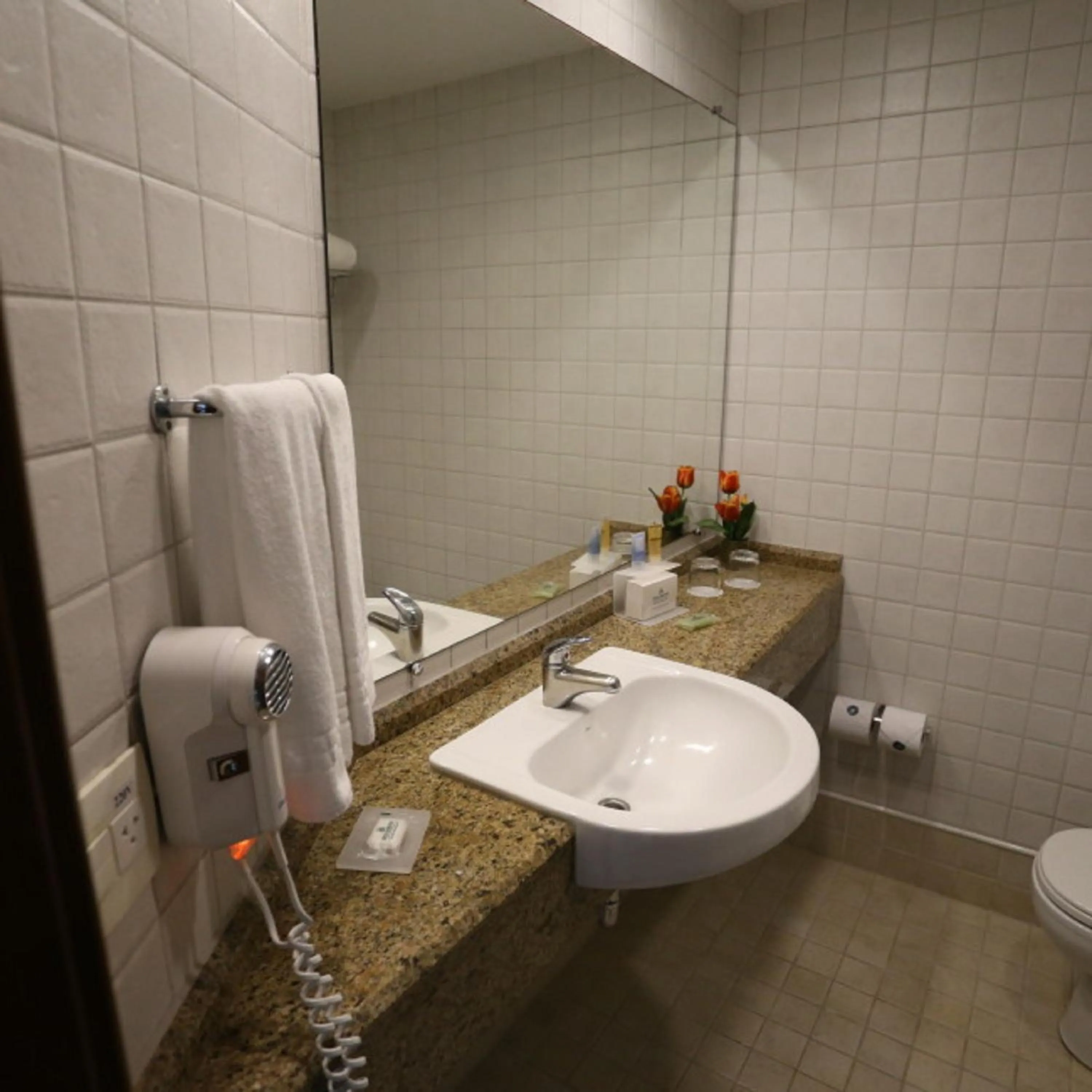 Bathroom in Bourbon Convention Hotel Joinville