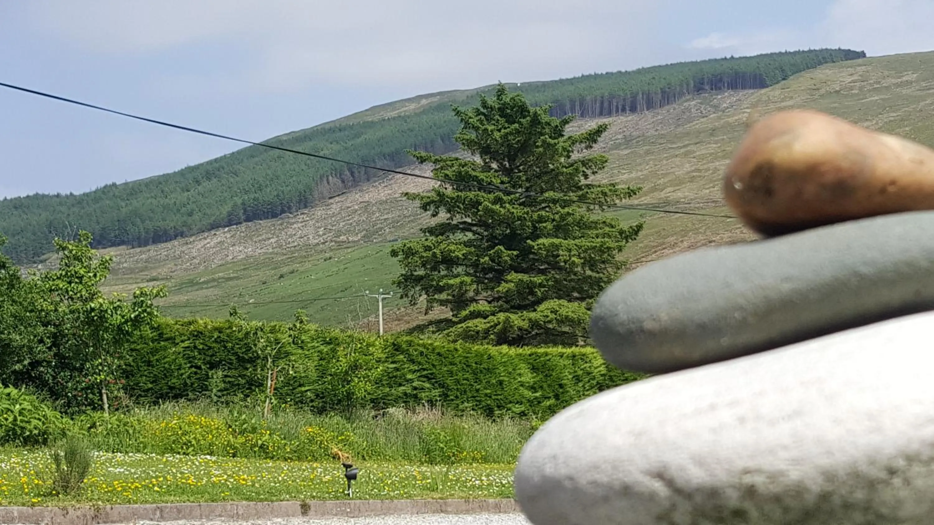 Natural landscape in An Charraig Ban on the wild Atlantic way F94WT02