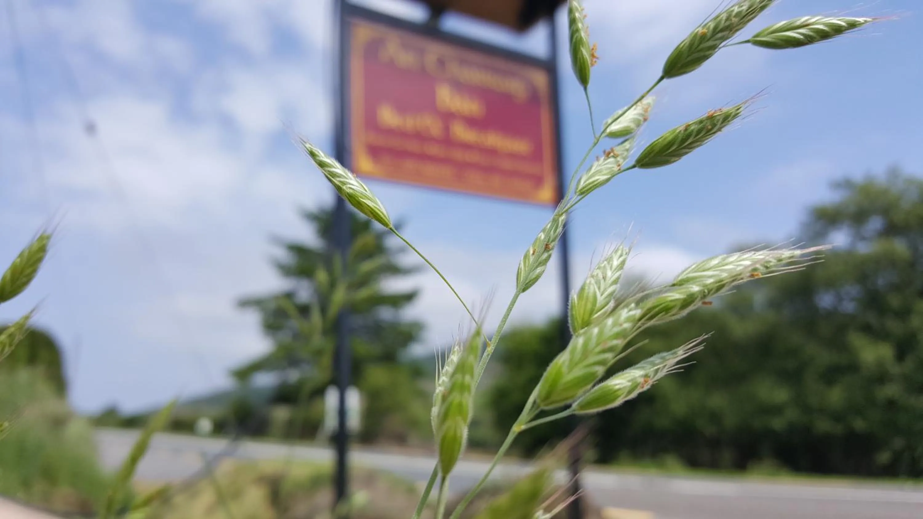 Property logo or sign in An Charraig Ban on the wild Atlantic way F94WT02