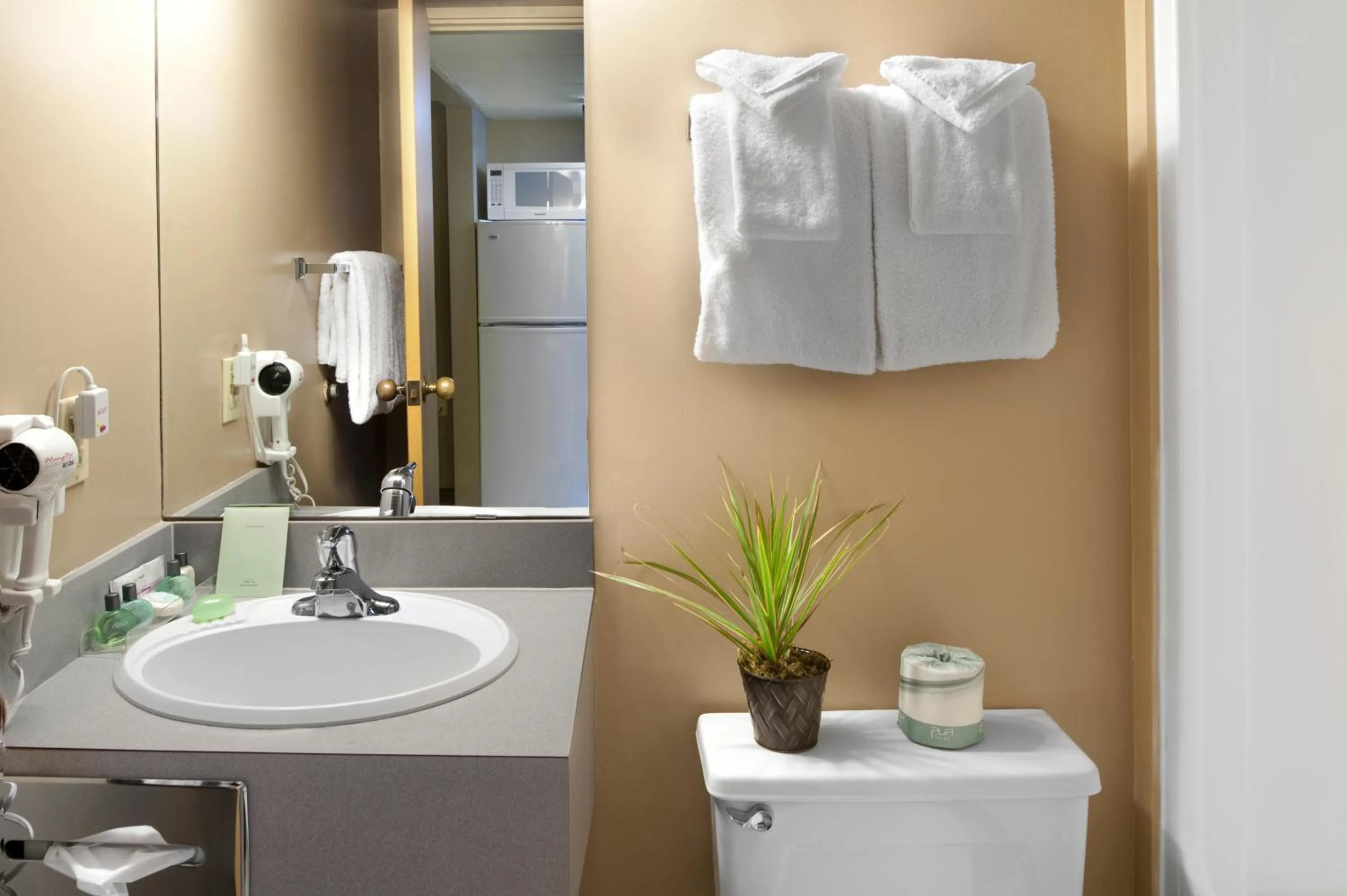 Bathroom in Maligne Lodge
