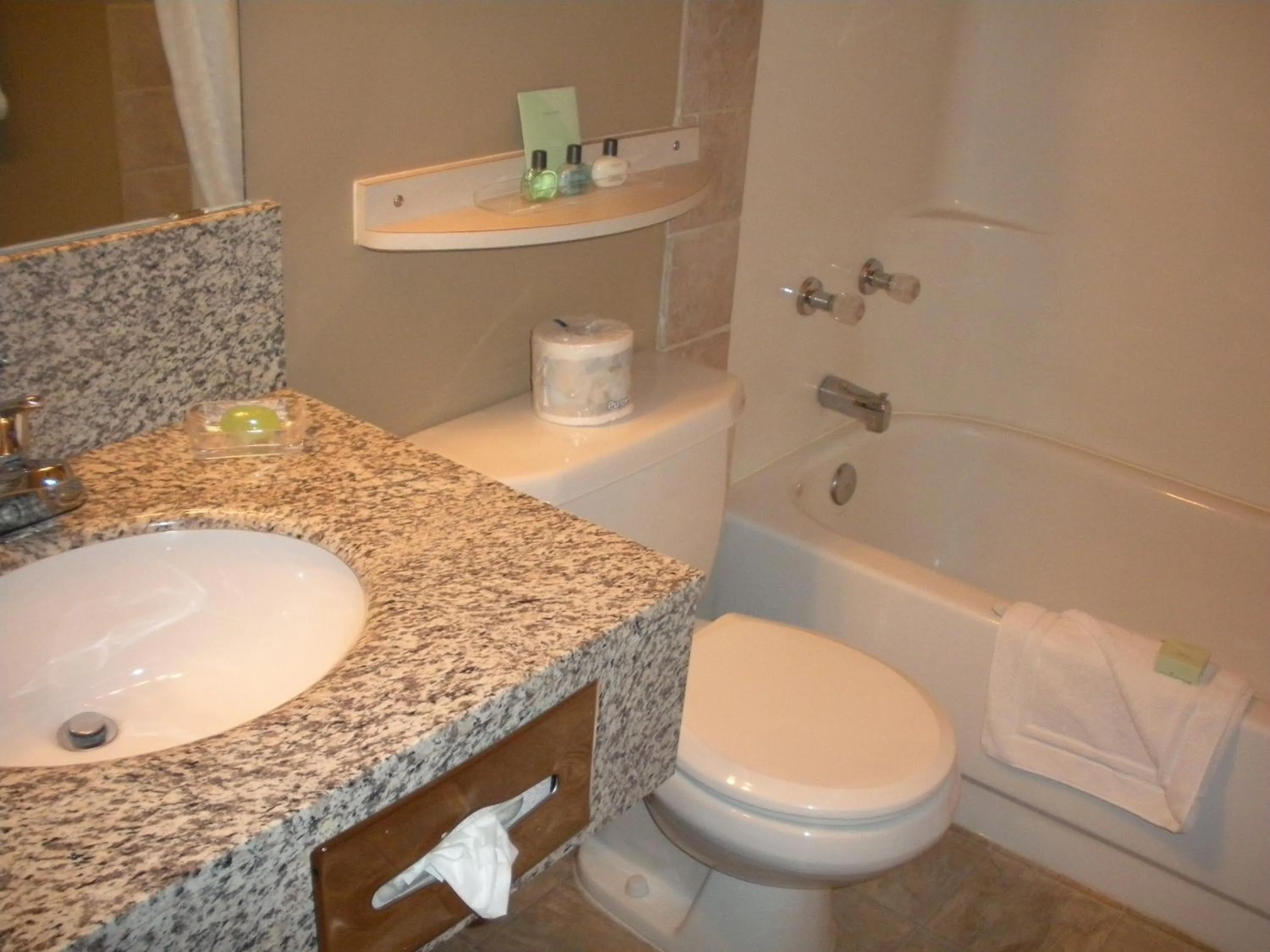 Bathroom in Maligne Lodge