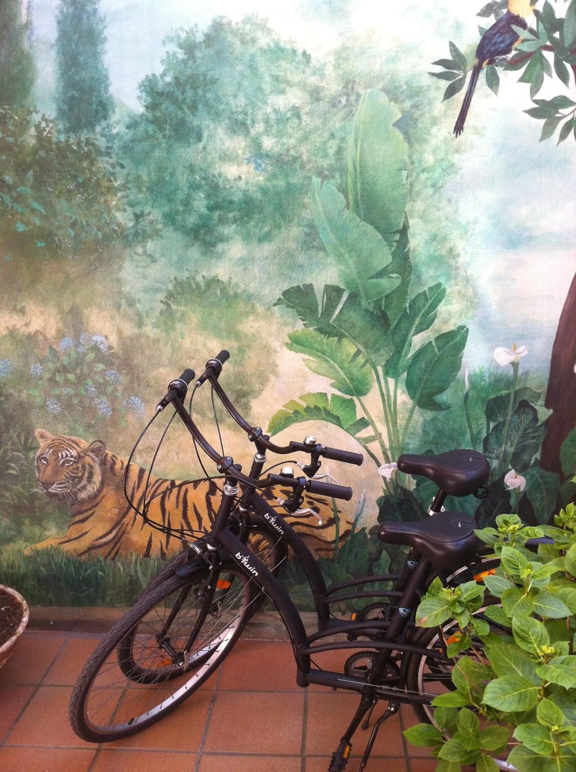 Other in Marina de Campios