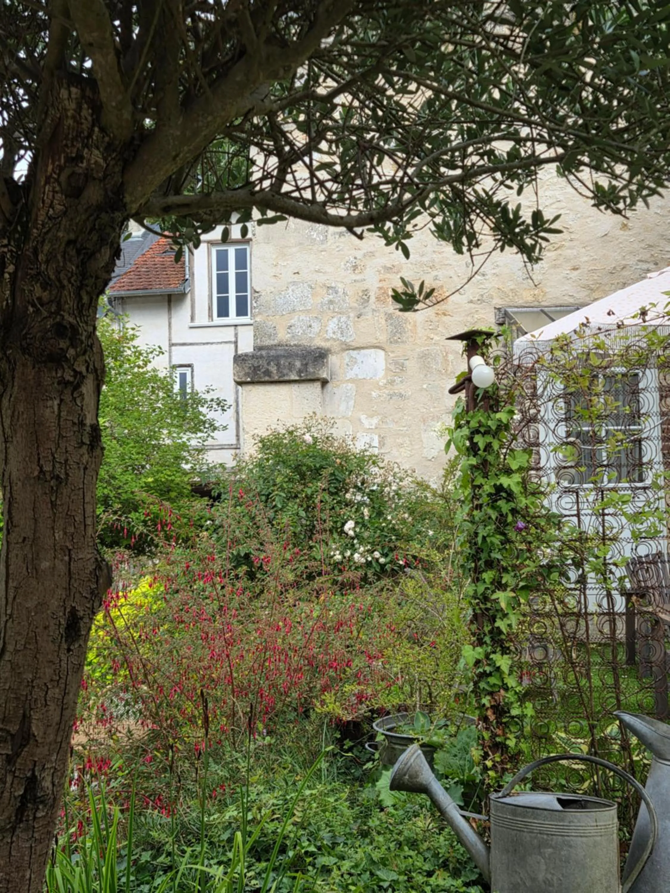 Garden in Il Etait Une Fois