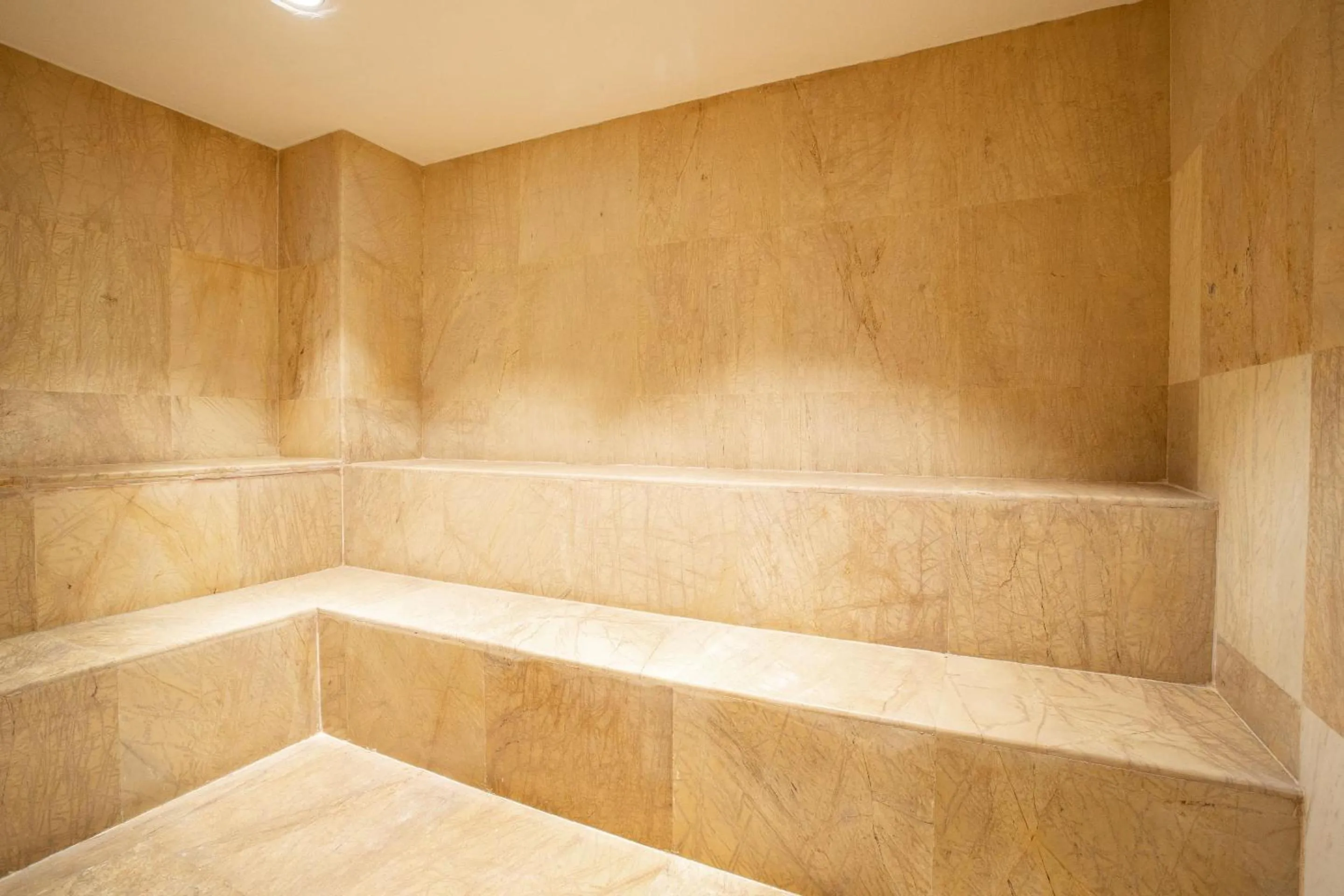 Sauna in Camino Real Monterrey