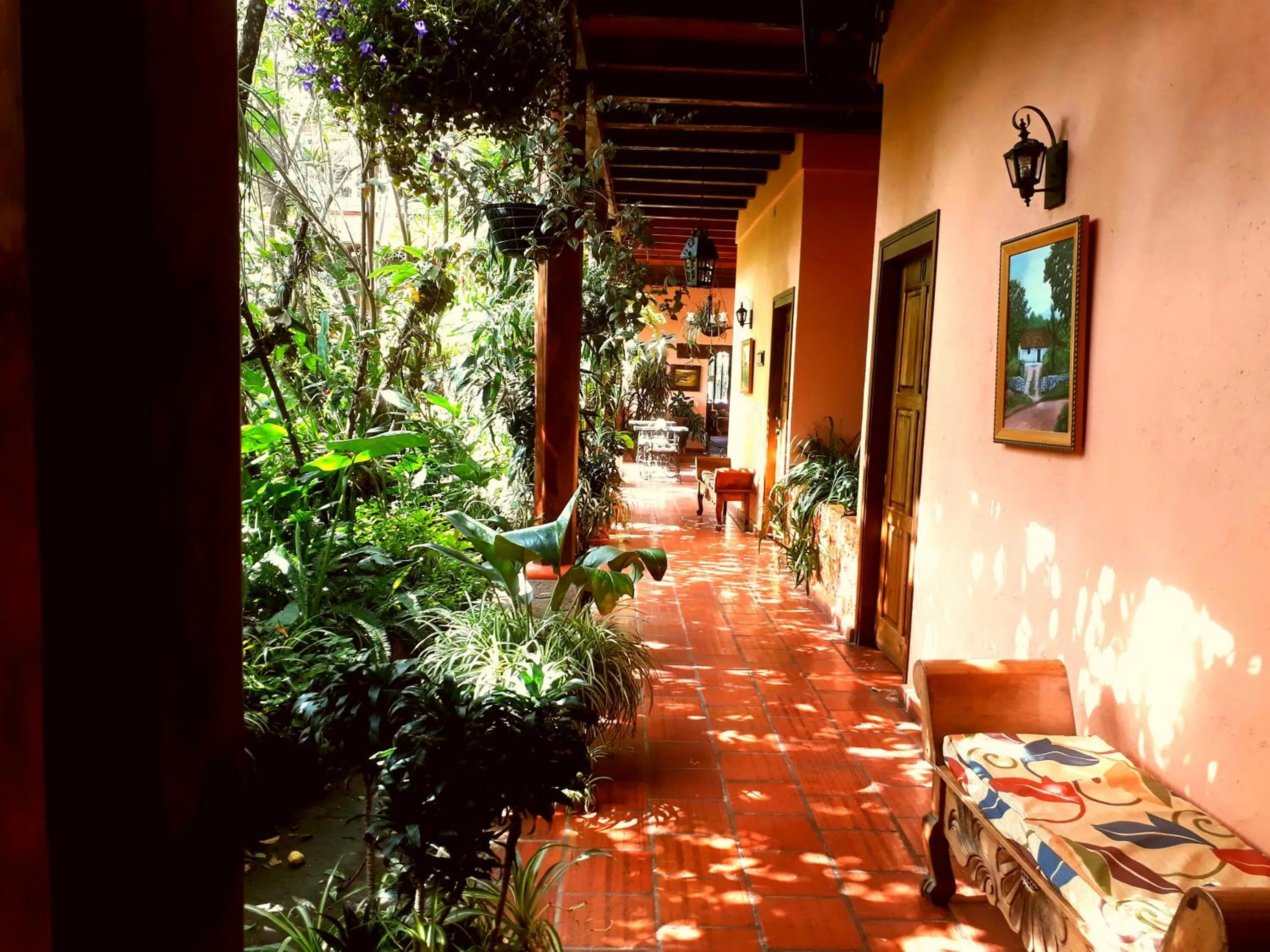 Posada Papa Chepe