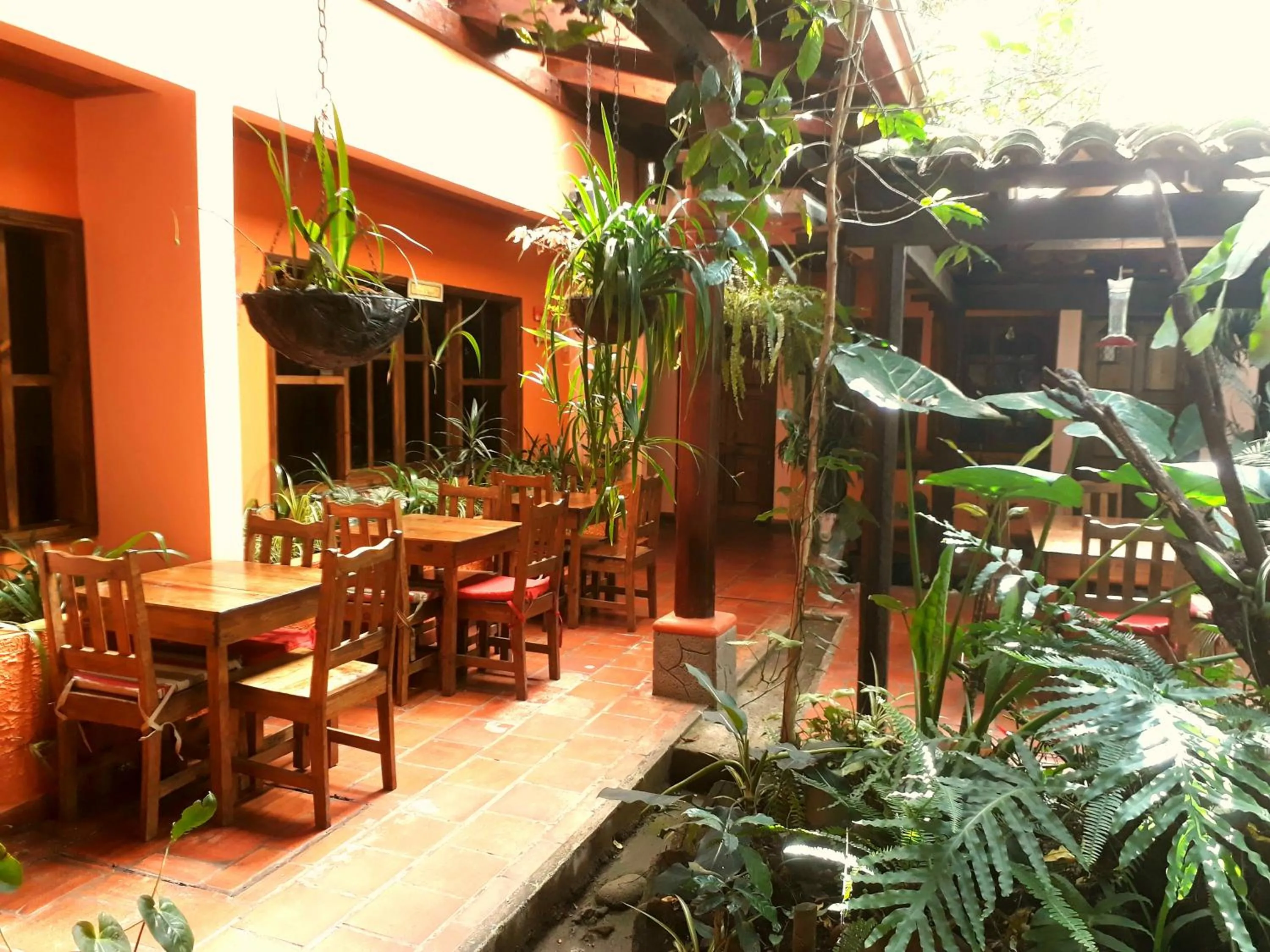 Posada Papa Chepe