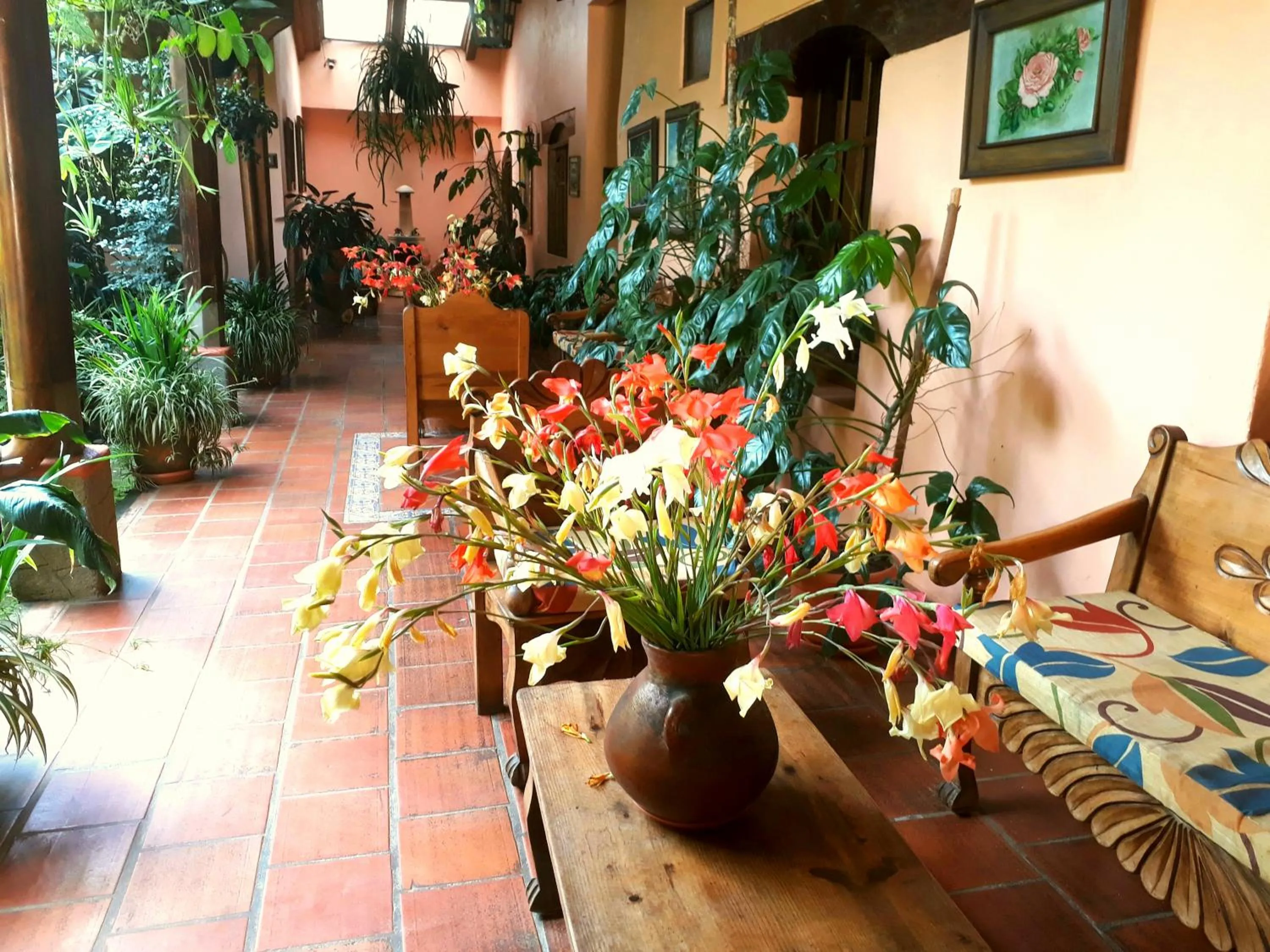 Posada Papa Chepe