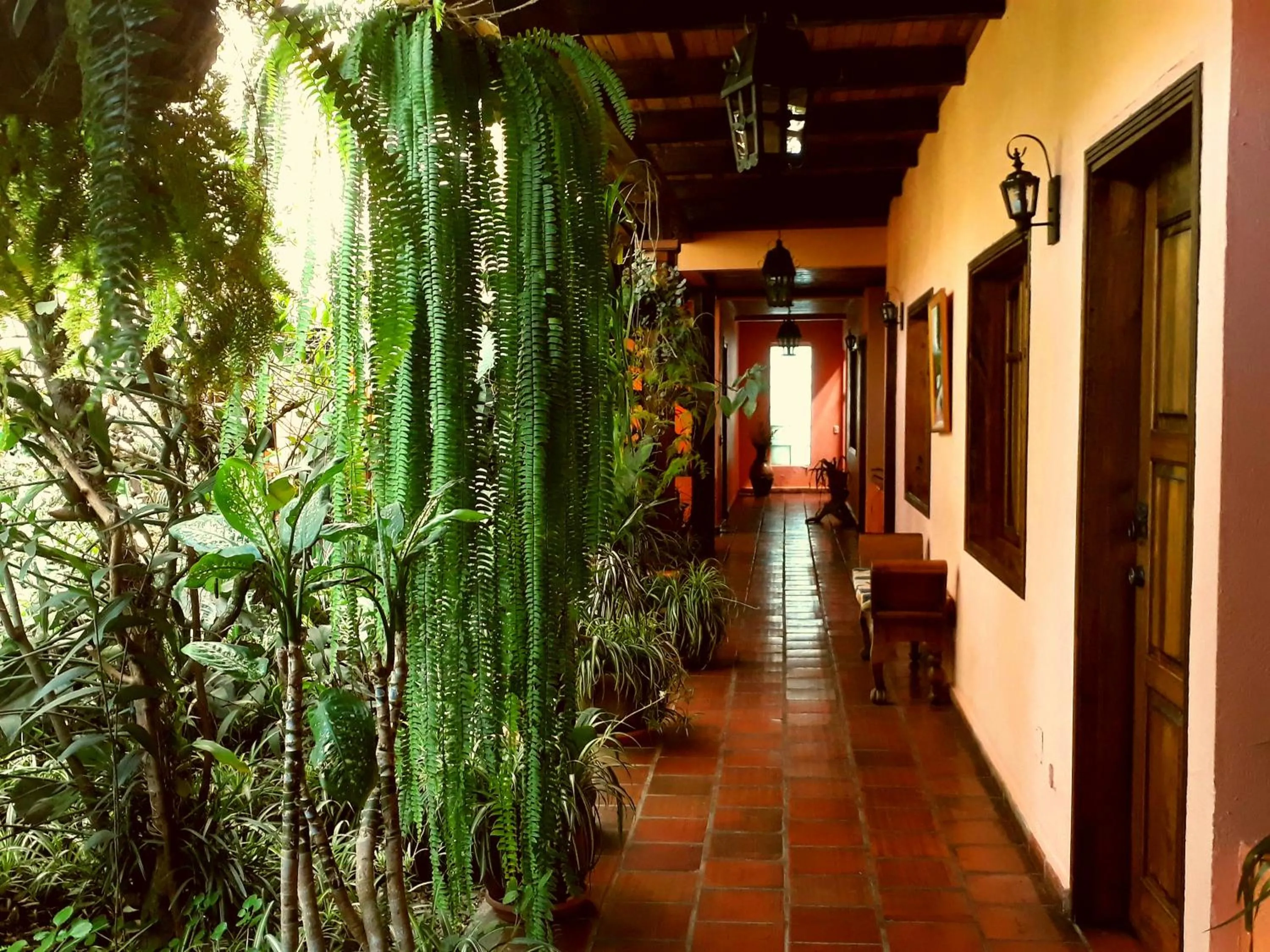 Posada Papa Chepe