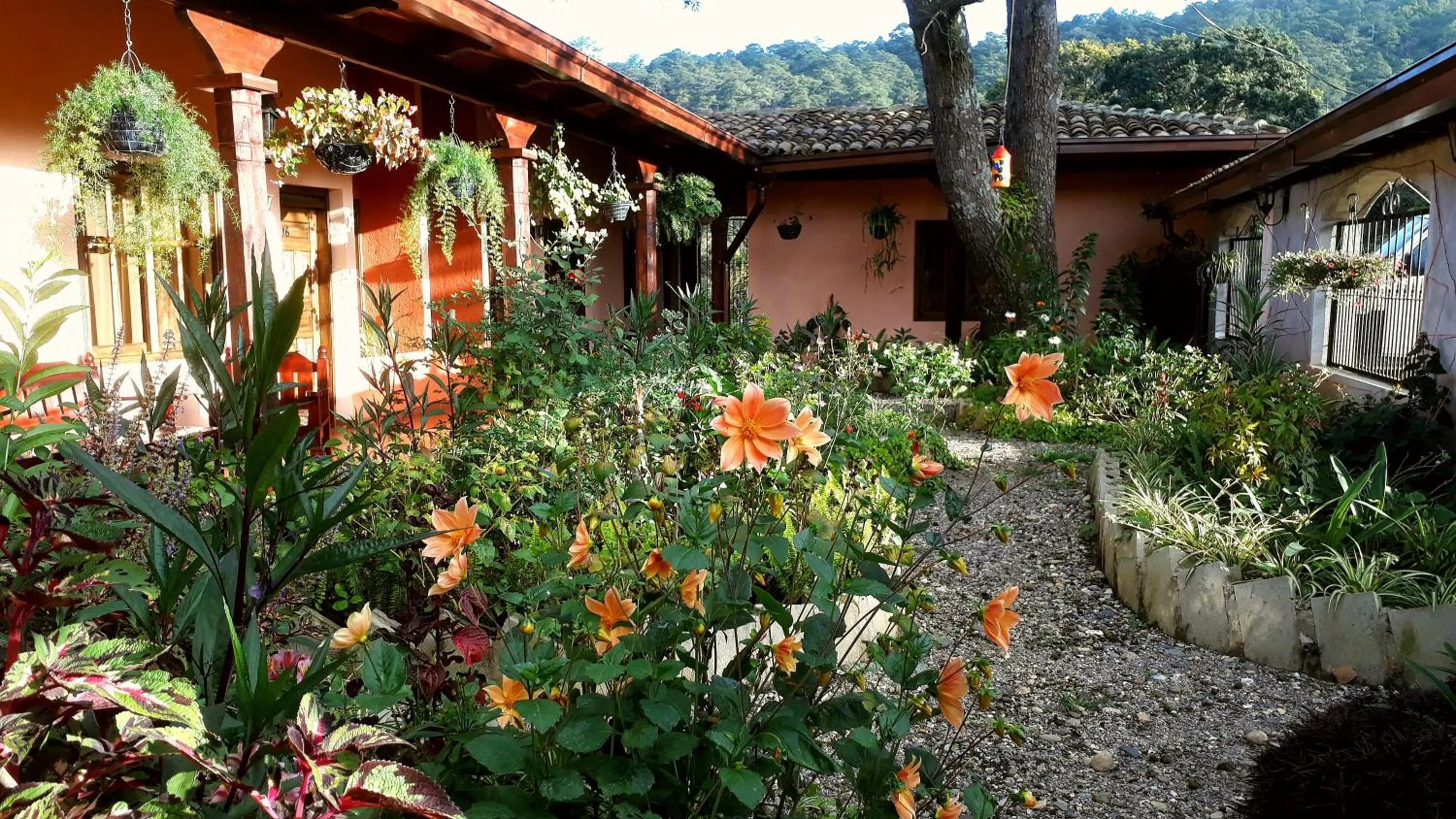 Posada Papa Chepe