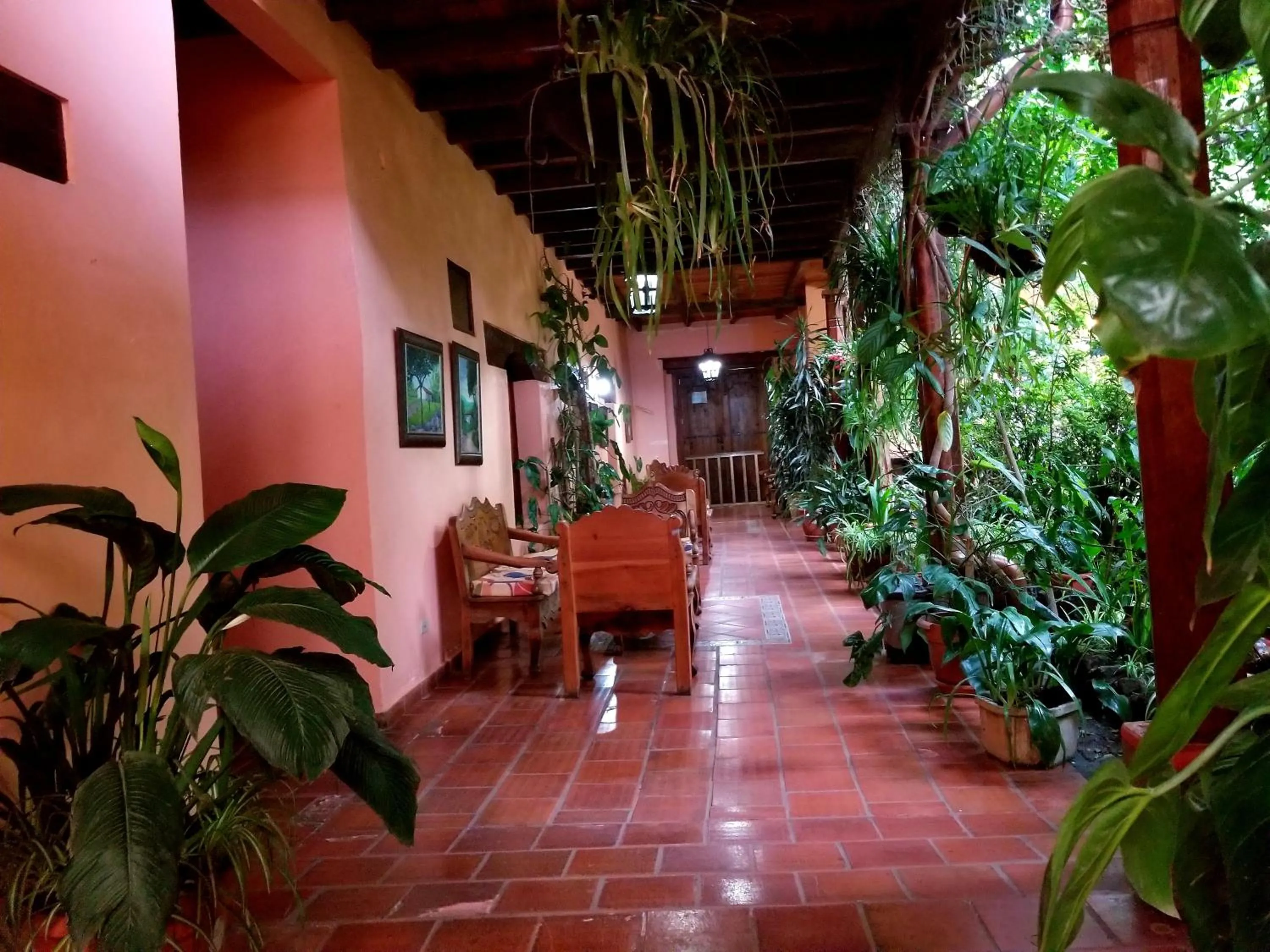 Posada Papa Chepe