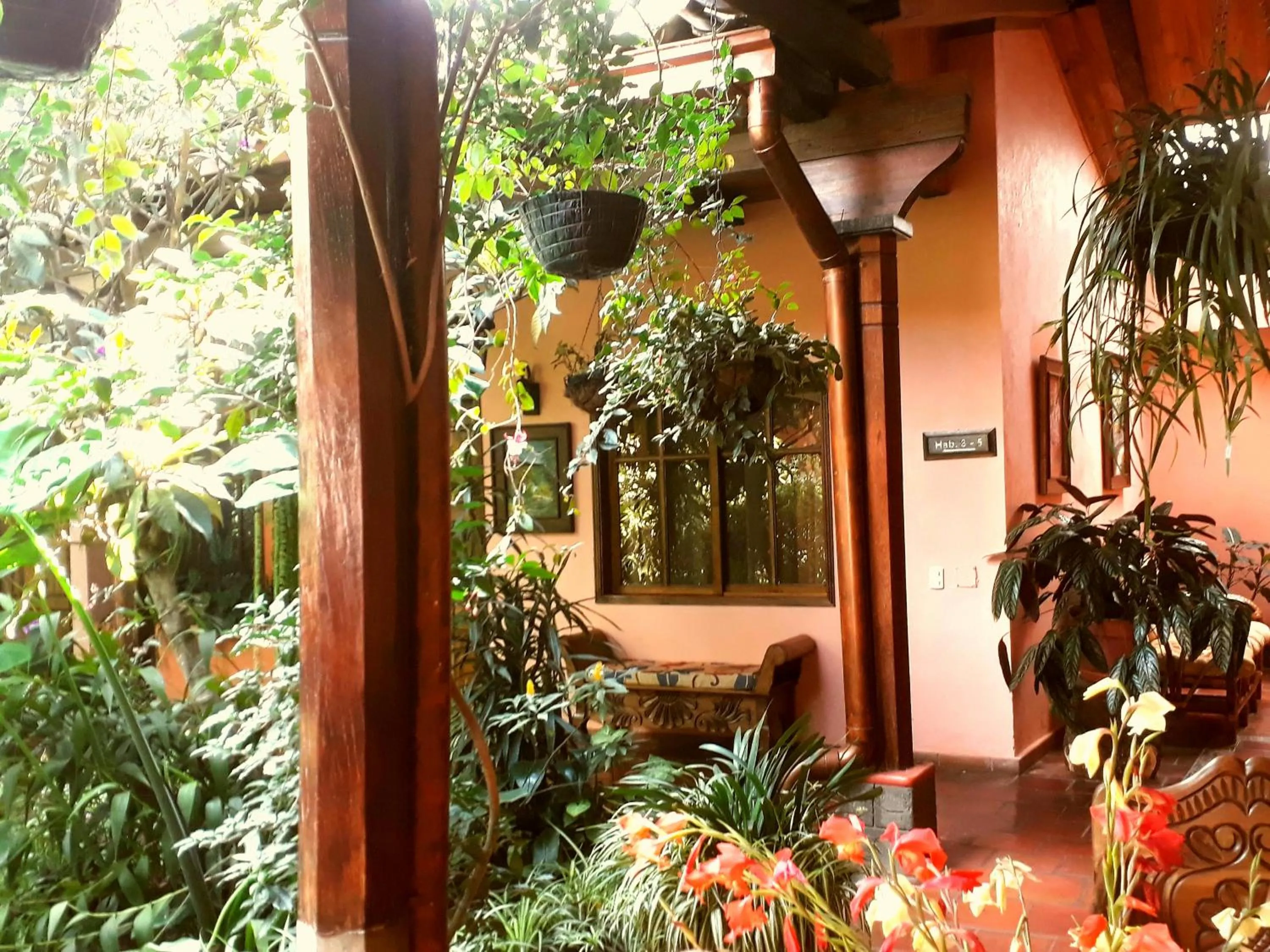 Posada Papa Chepe